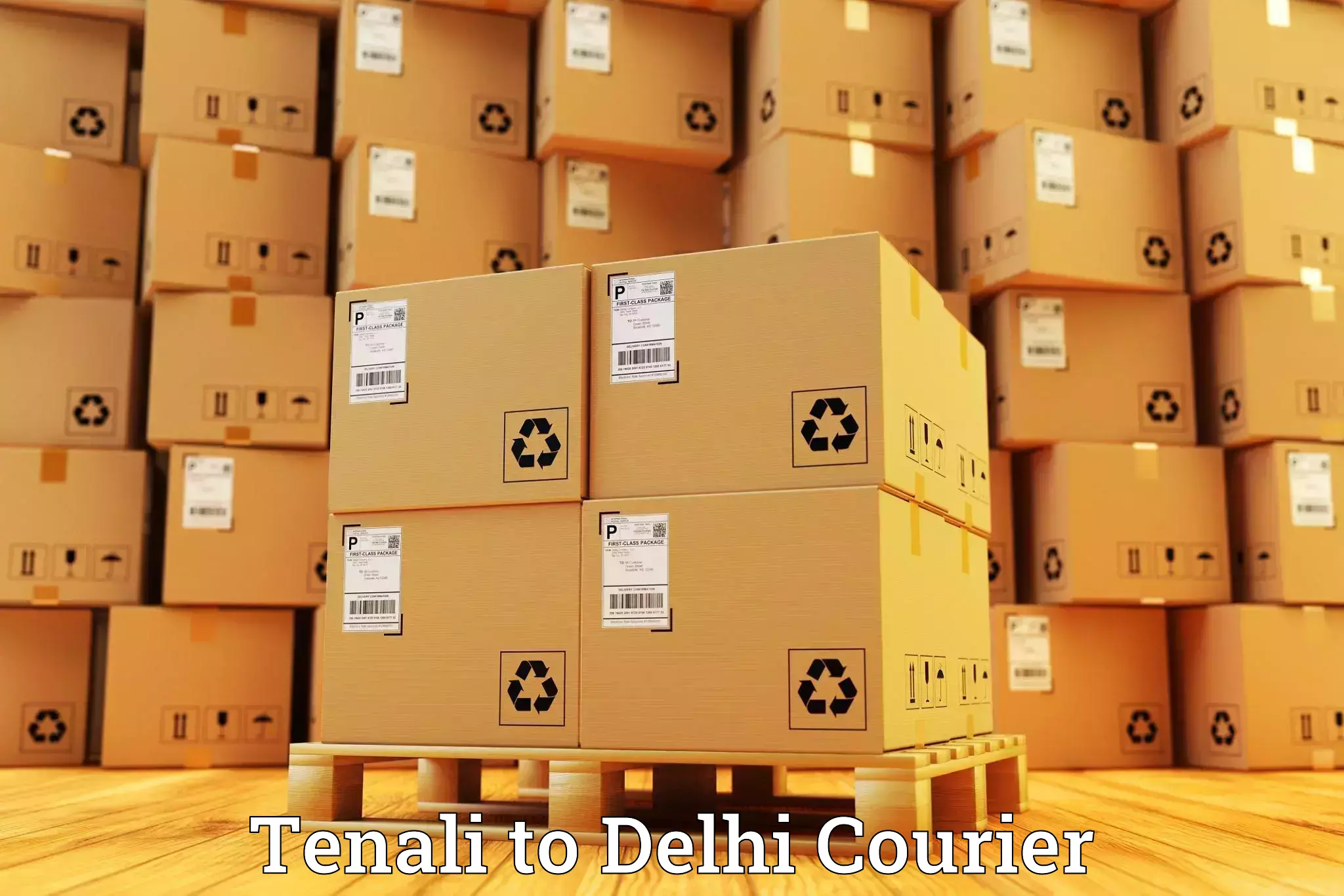 Baggage courier logistics Tenali to Jamia Millia Islamia New Delhi