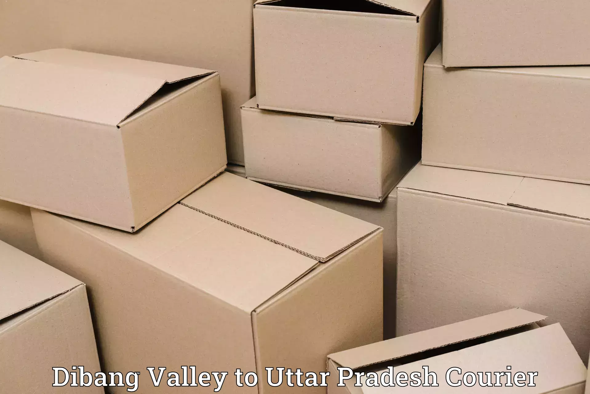 Baggage delivery optimization Dibang Valley to Haidargarh