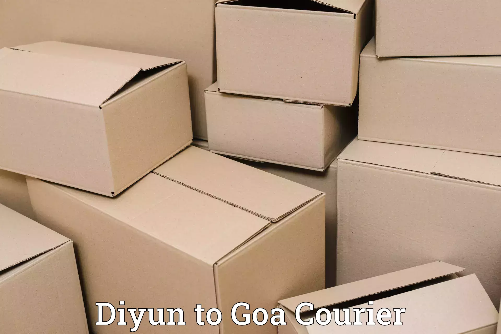 Luggage courier excellence Diyun to Vasco da Gama