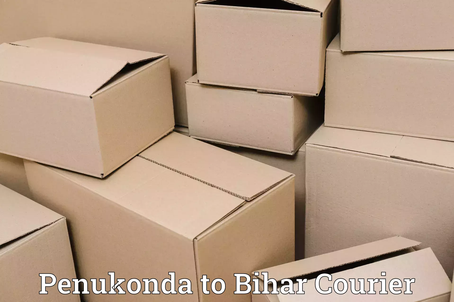 Single item baggage courier Penukonda to Mashrakh