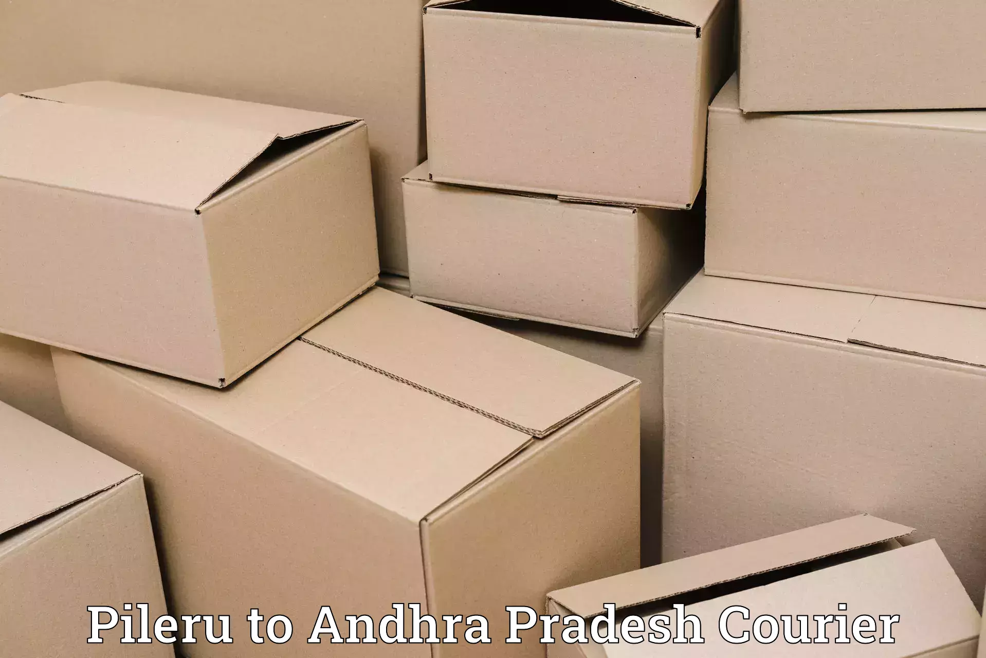 Overnight luggage courier Pileru to Podalakur