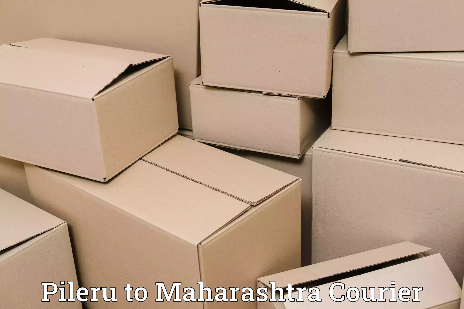 Hotel to Door baggage transport Pileru to Jawaharlal Nehru Port Nhava Sheva