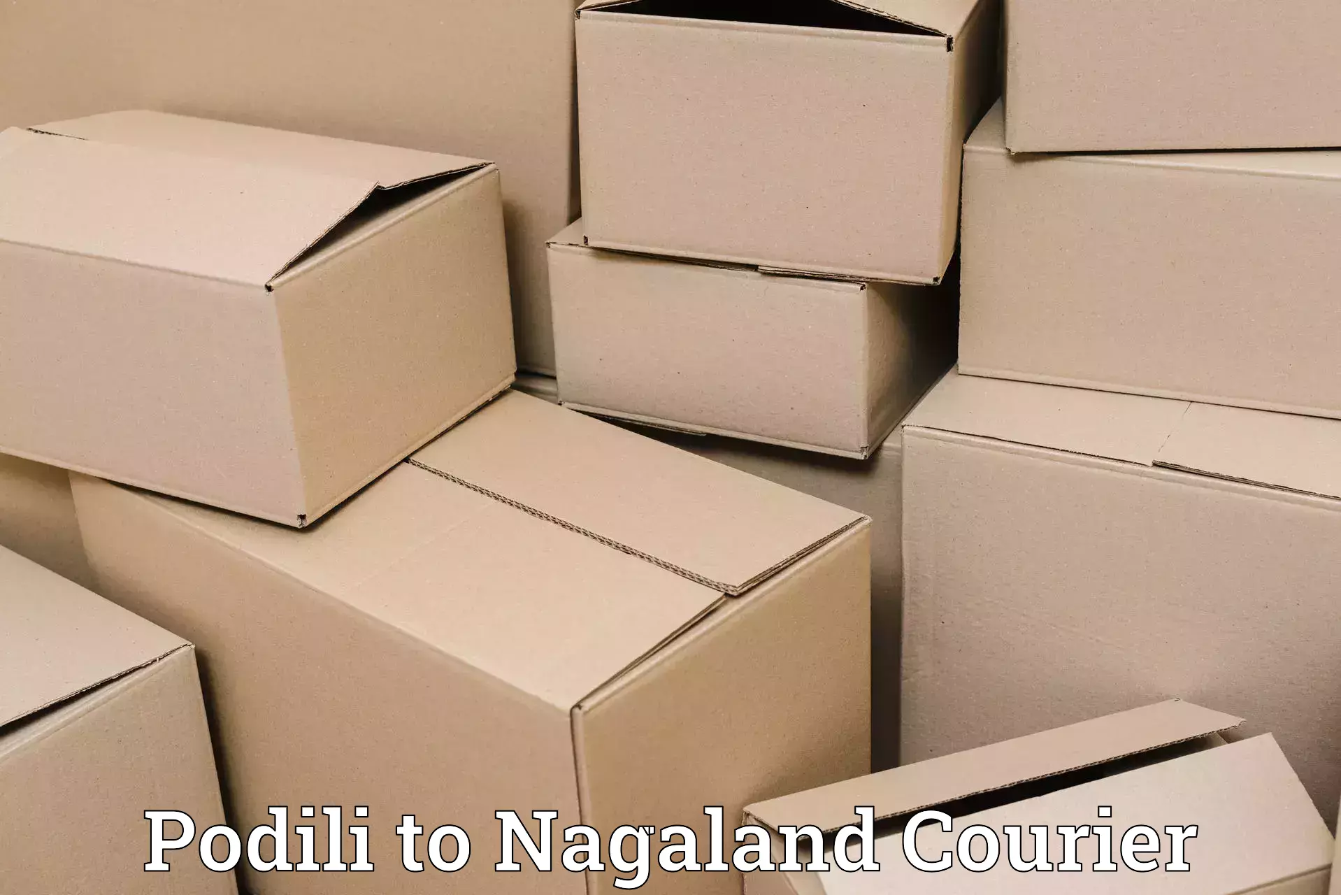 Luggage shipping guide Podili to NIT Nagaland