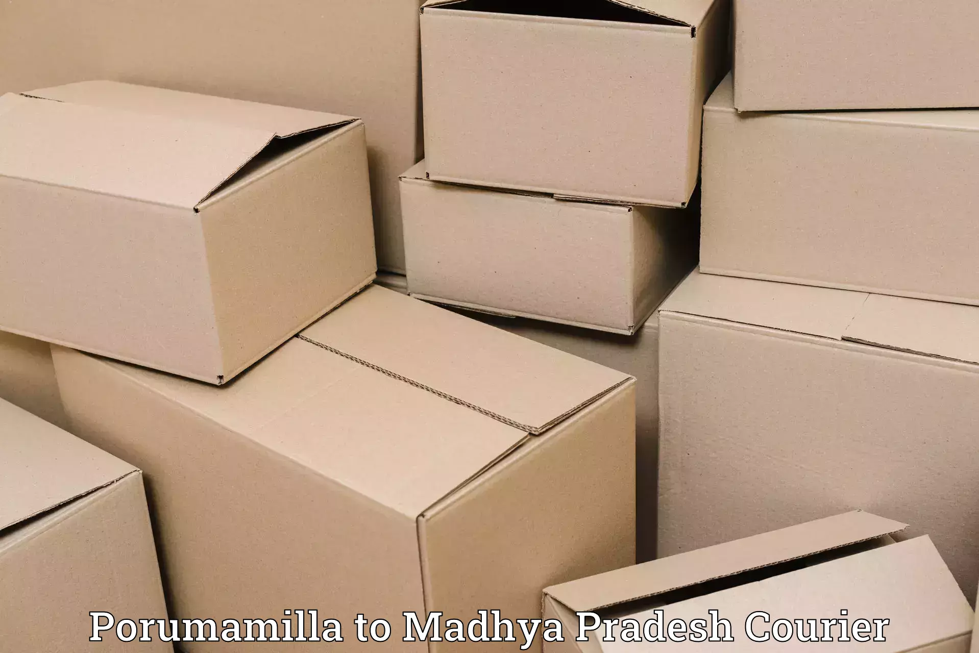 Baggage shipping schedule Porumamilla to Kareli