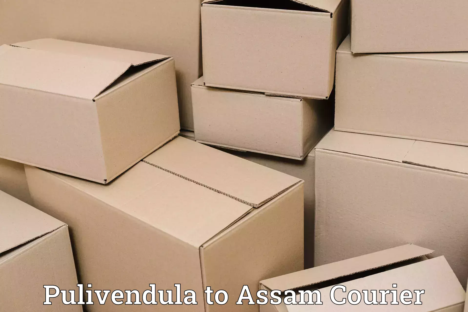 Baggage shipping schedule Pulivendula to Tinsukia