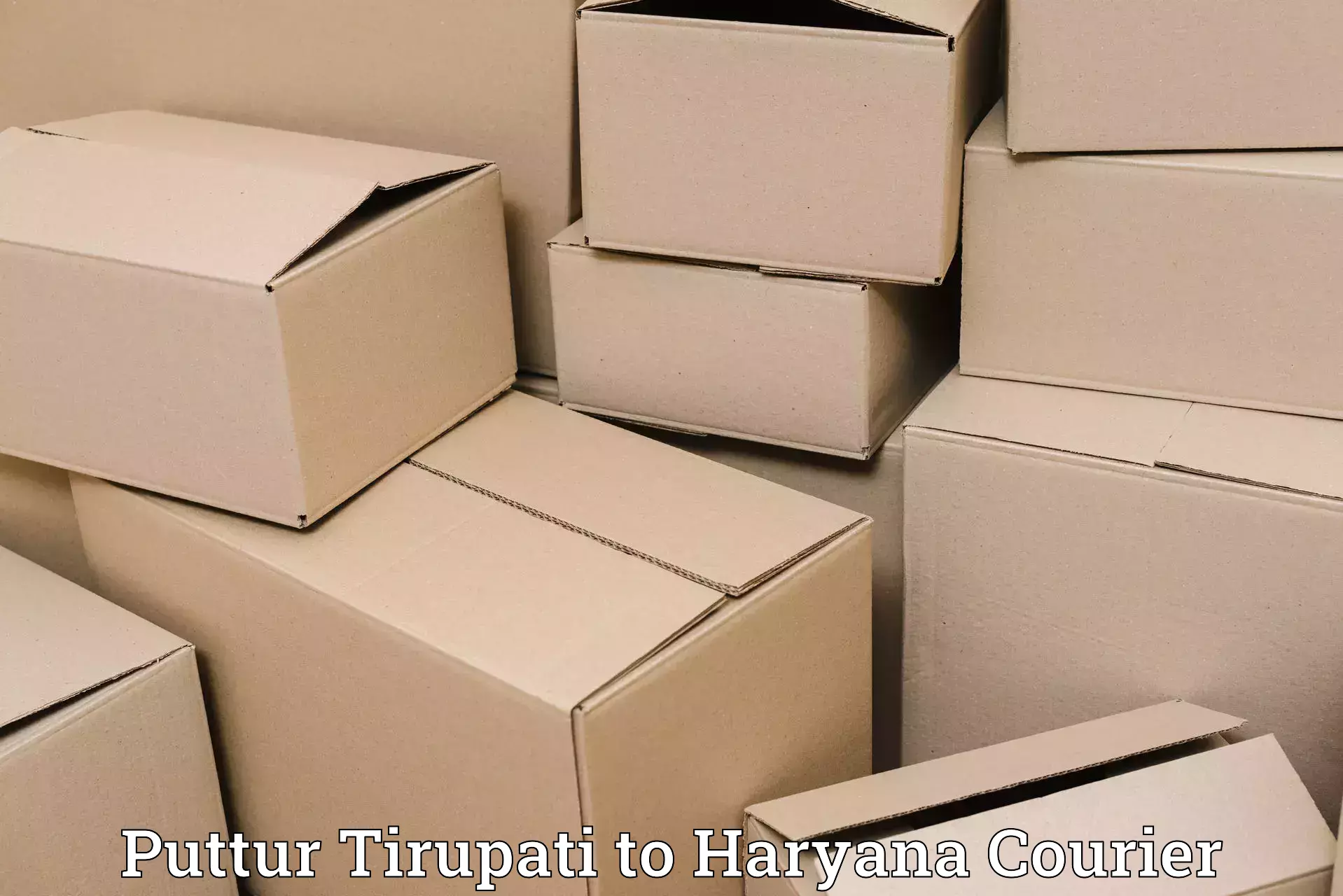 Innovative luggage delivery Puttur Tirupati to Hodal