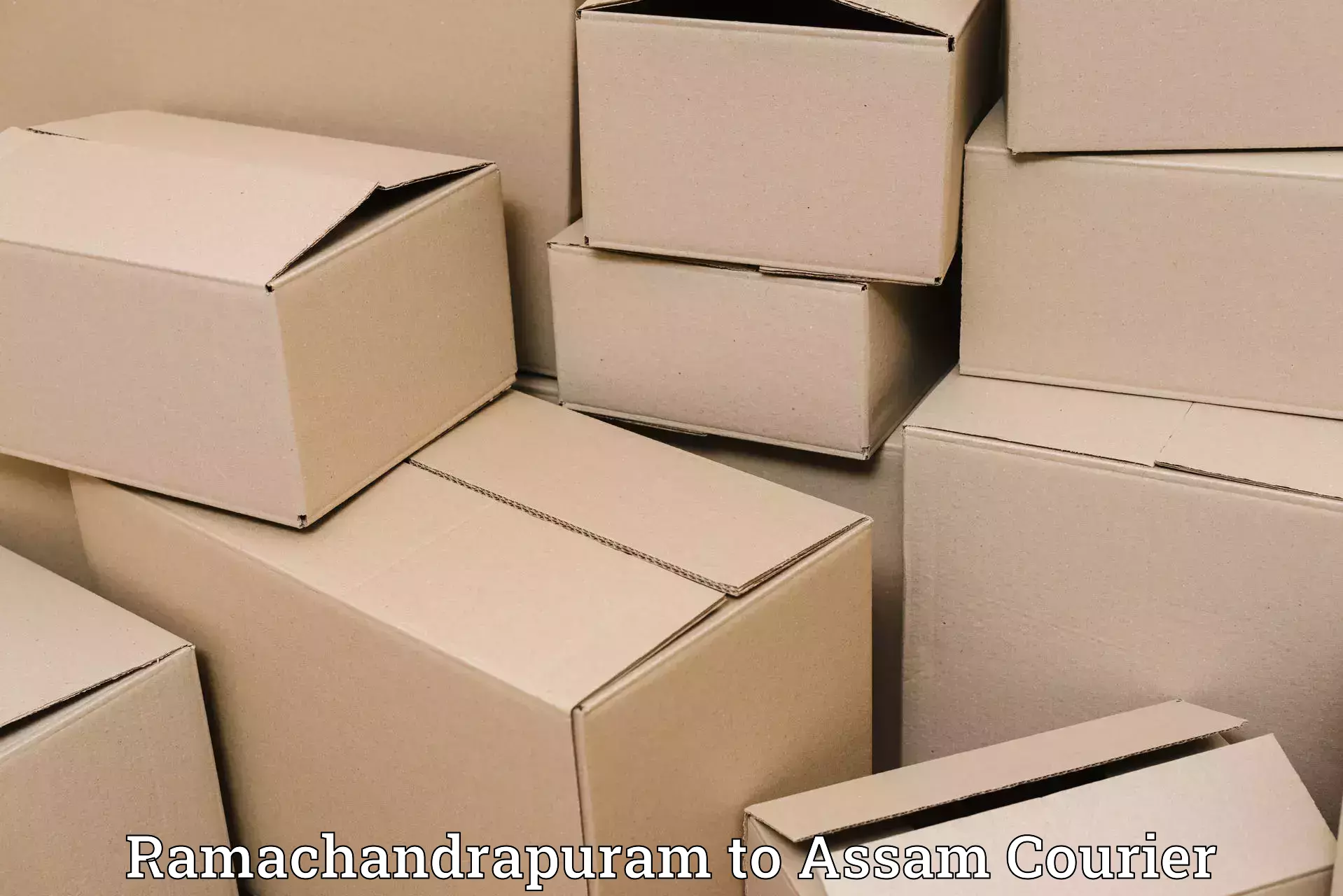 Expedited baggage courier Ramachandrapuram to Jamuguri