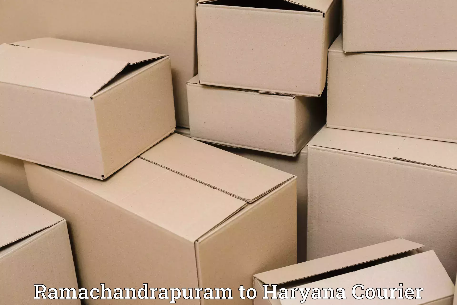 Luggage shipping efficiency Ramachandrapuram to Hansi