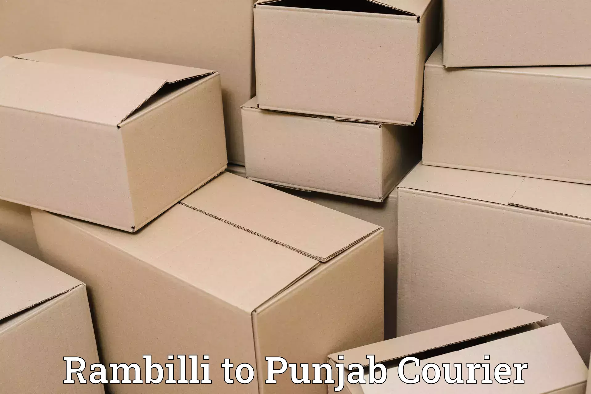 Heavy luggage shipping Rambilli to Punjab Agricultural University Ludhiana