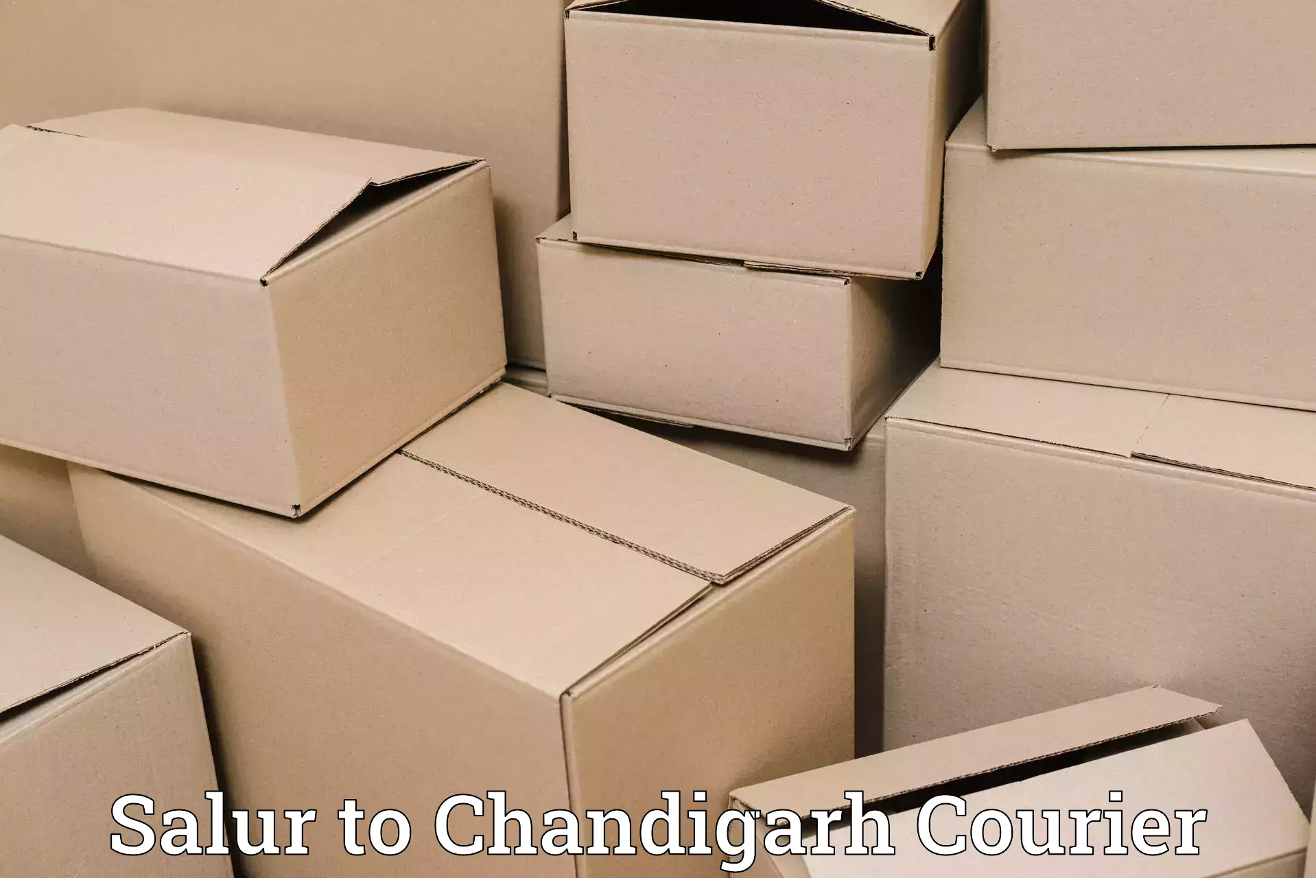 Luggage delivery providers Salur to Panjab University Chandigarh