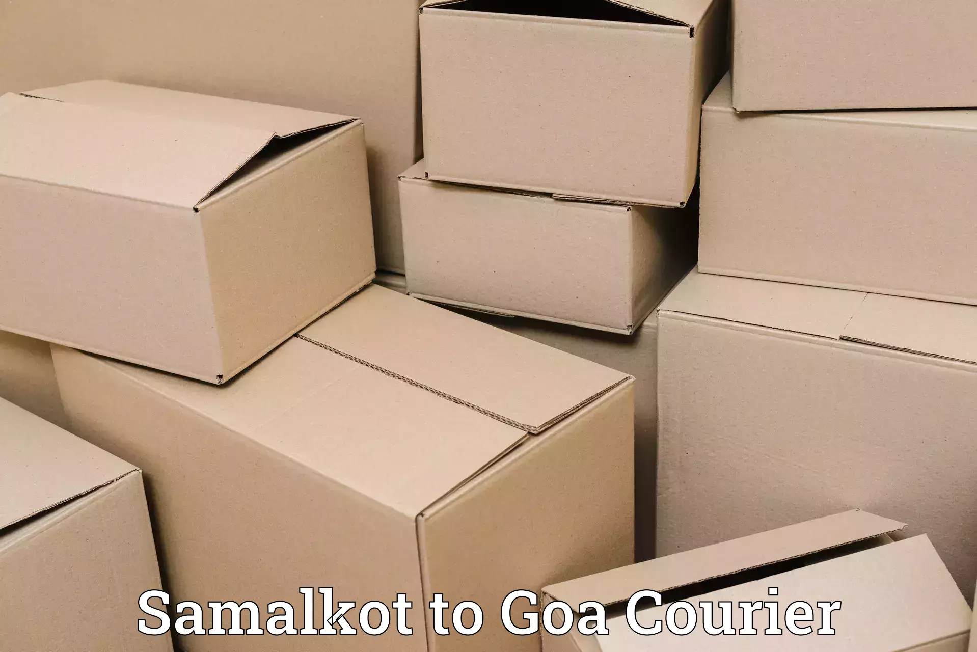 Baggage courier solutions Samalkot to Vasco da Gama