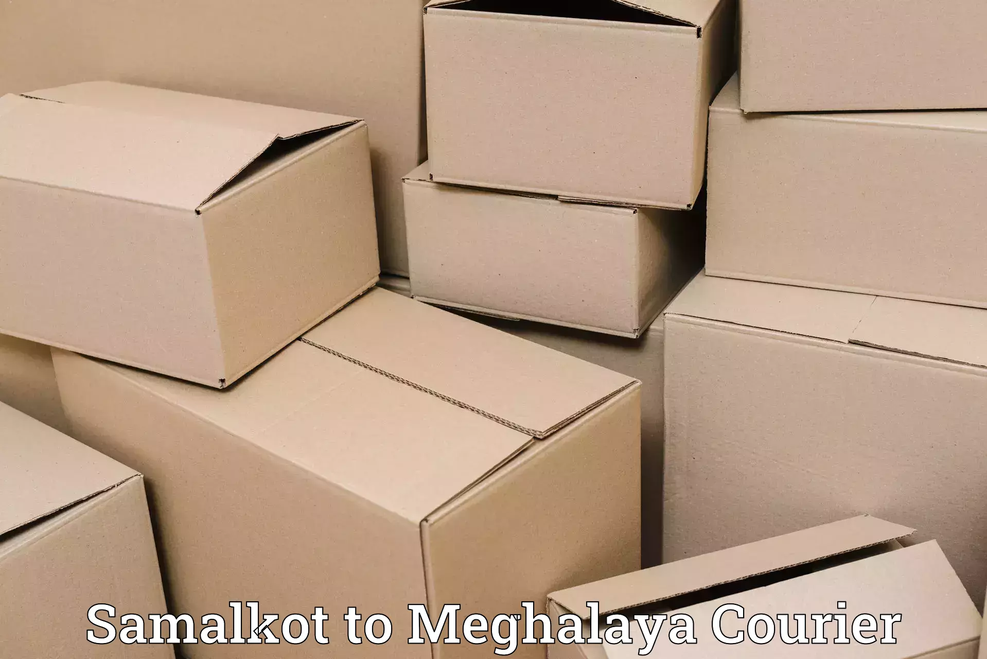 Flexible luggage courier service Samalkot to Nongpoh