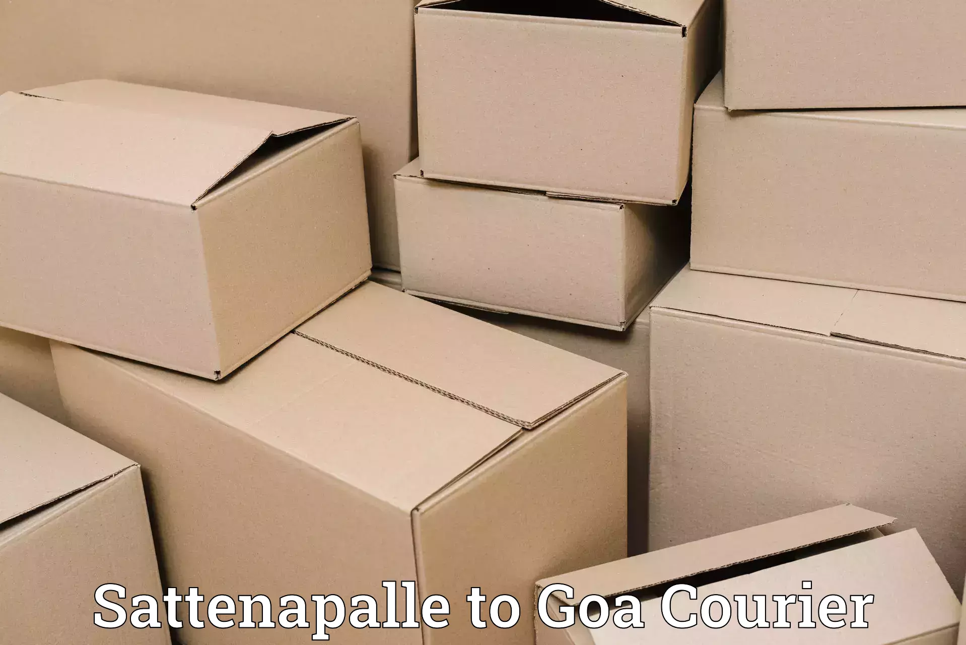 Comprehensive baggage courier Sattenapalle to Panjim