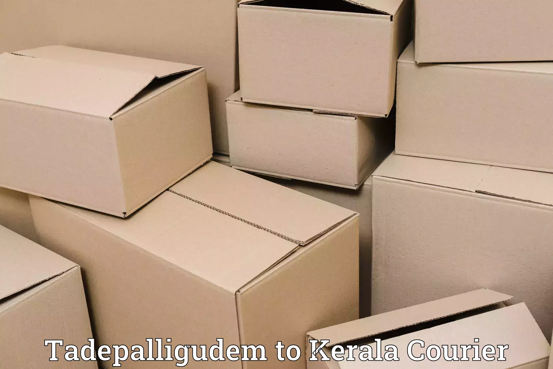 Baggage shipping logistics in Tadepalligudem to Kerala