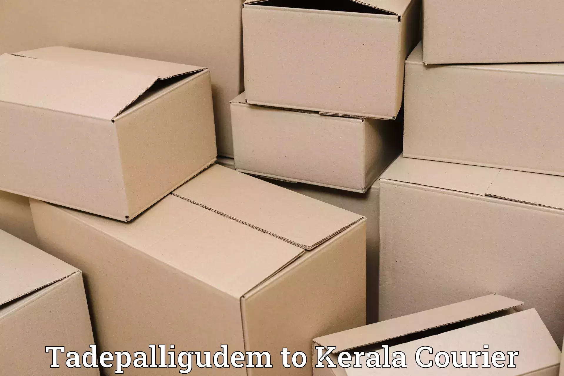 Round trip baggage courier Tadepalligudem to Tirurangadi