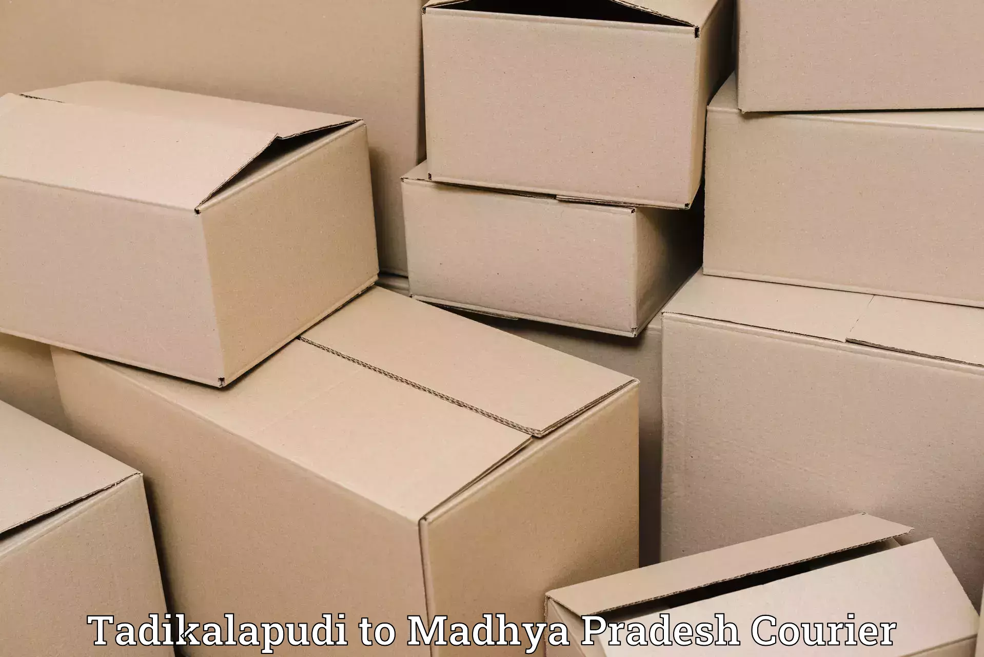 Baggage shipping experts in Tadikalapudi to Morena