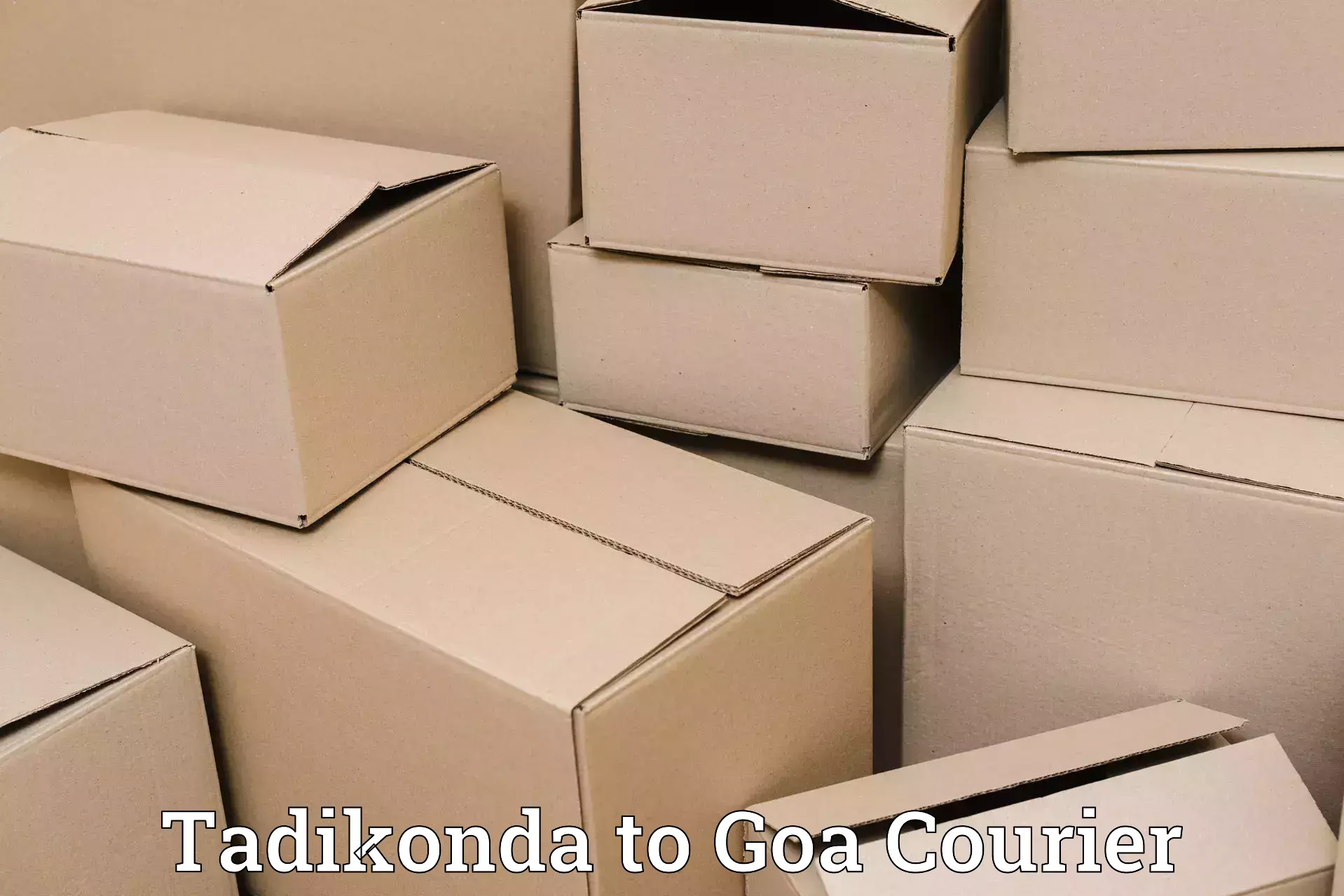 Baggage delivery technology Tadikonda to Canacona