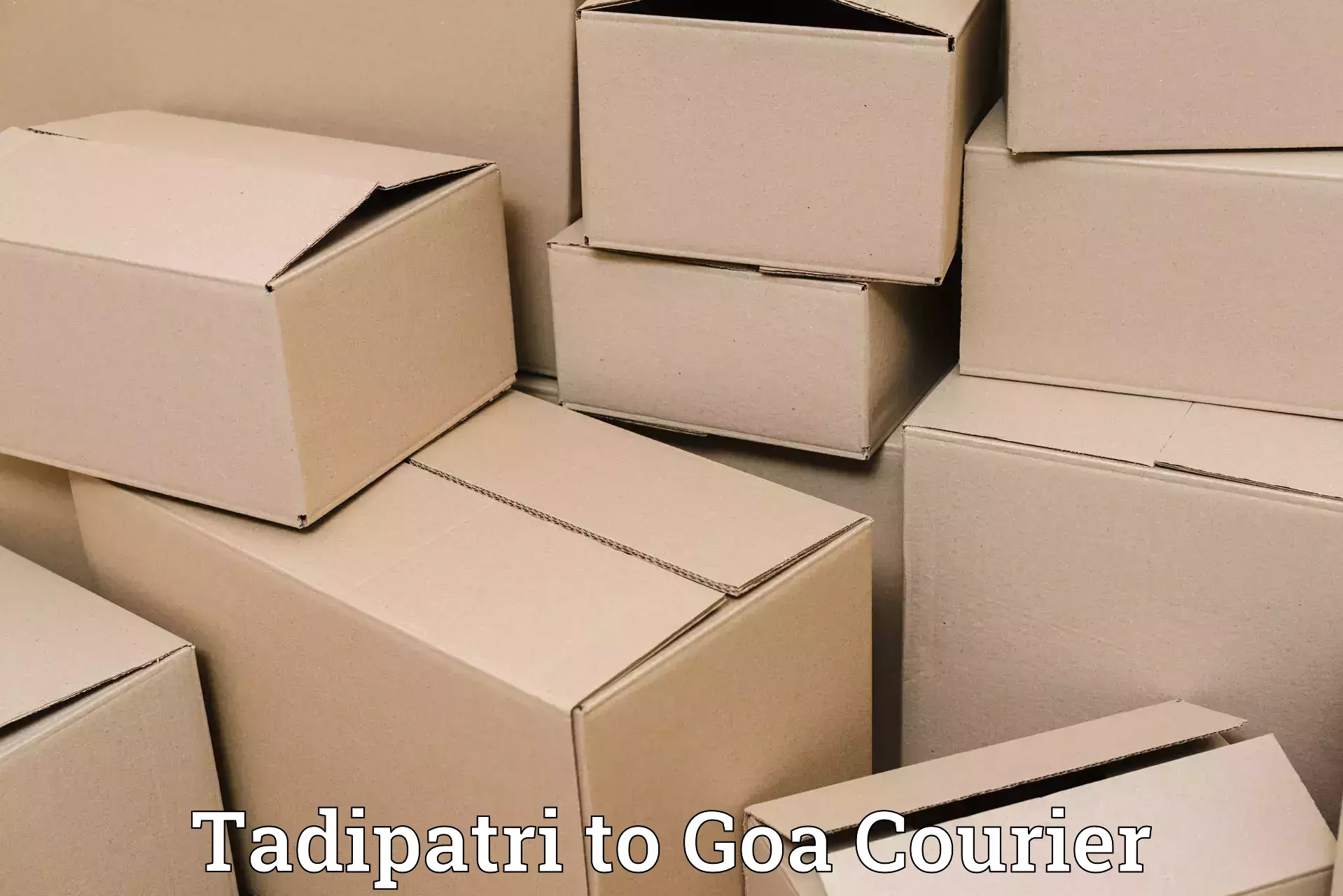 Hotel to Door baggage transport Tadipatri to Panjim