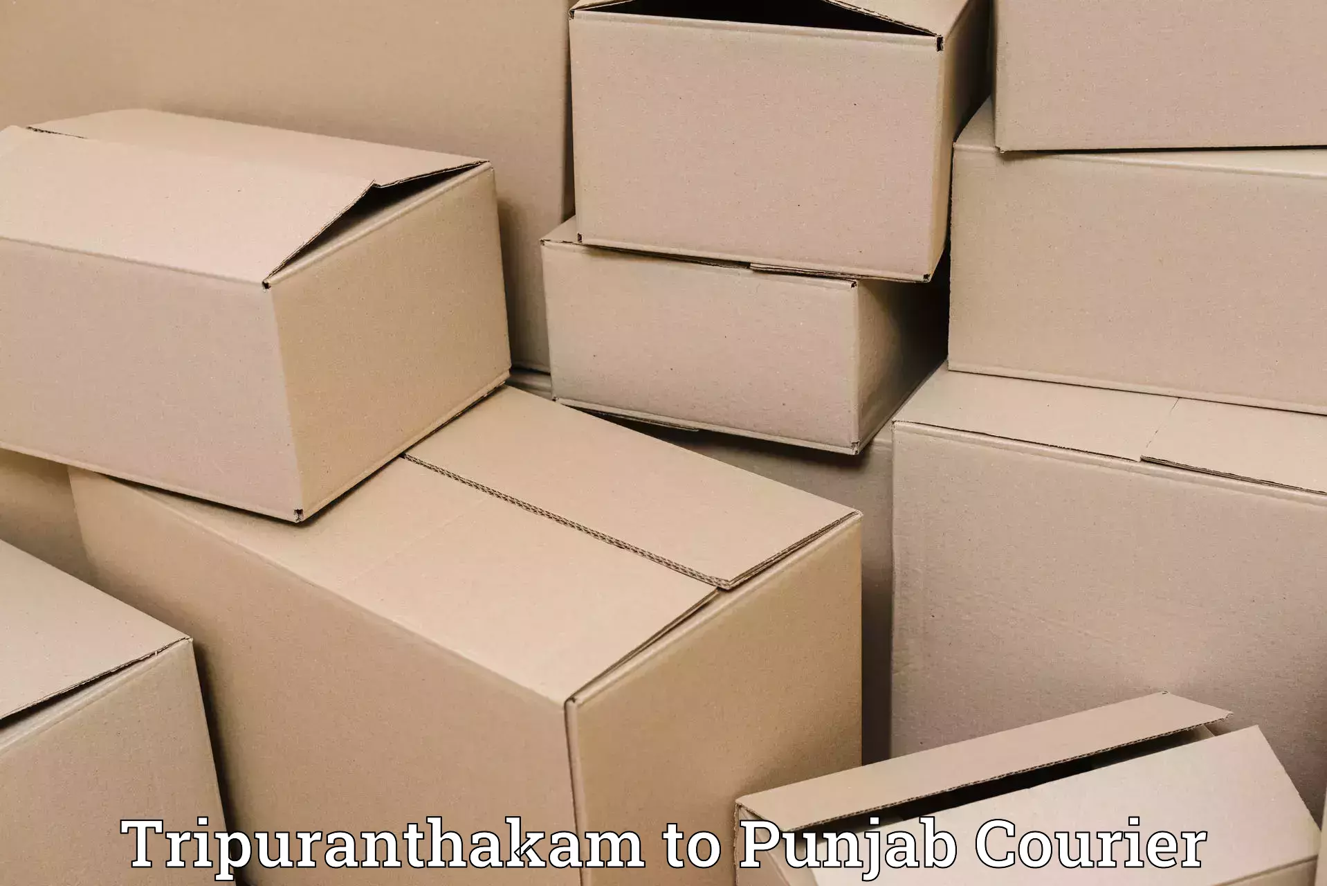 Baggage courier solutions Tripuranthakam to Dasuya