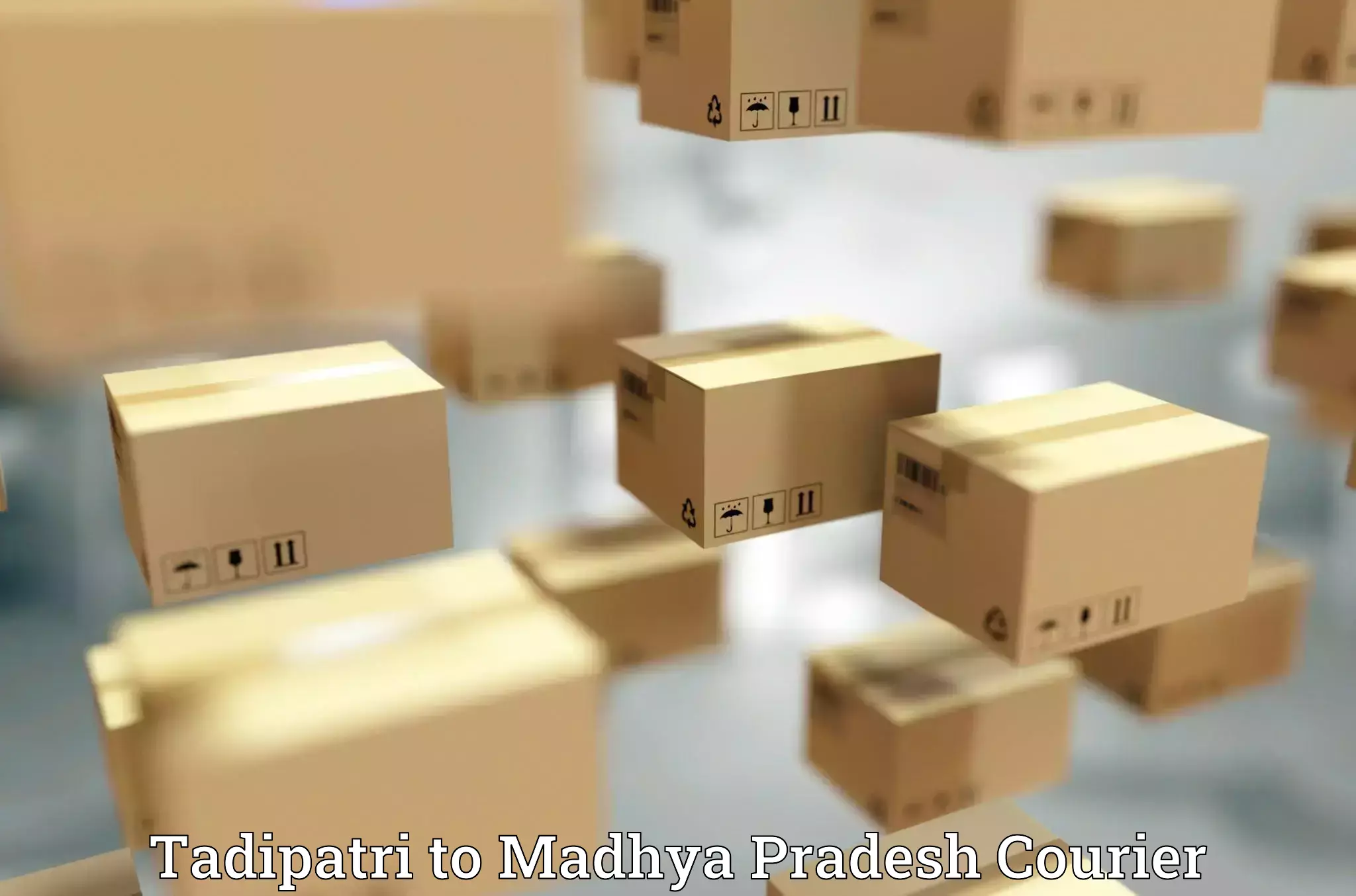 Baggage courier guide Tadipatri to Prithvipur