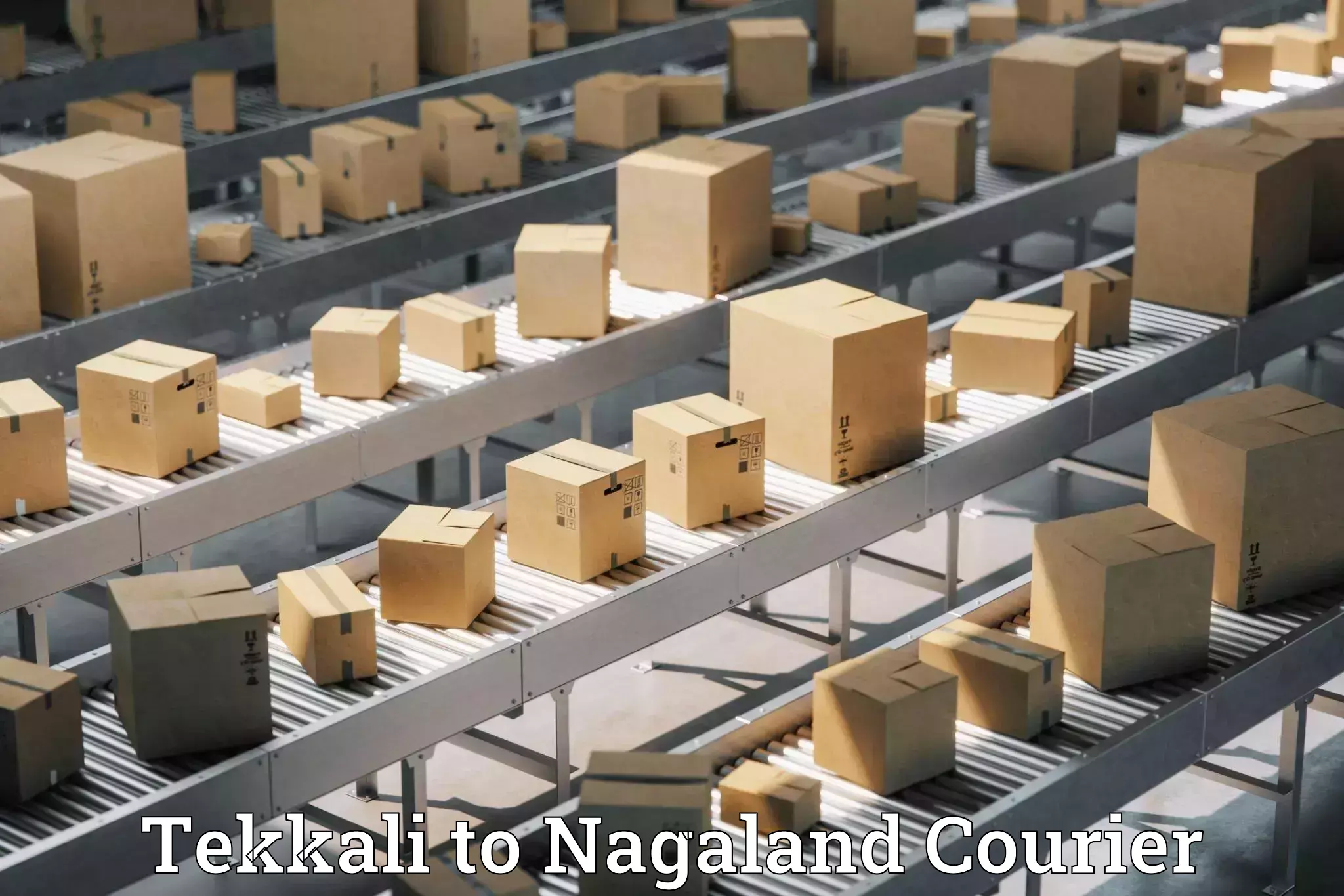 Luggage shipment specialists Tekkali to Nagaland