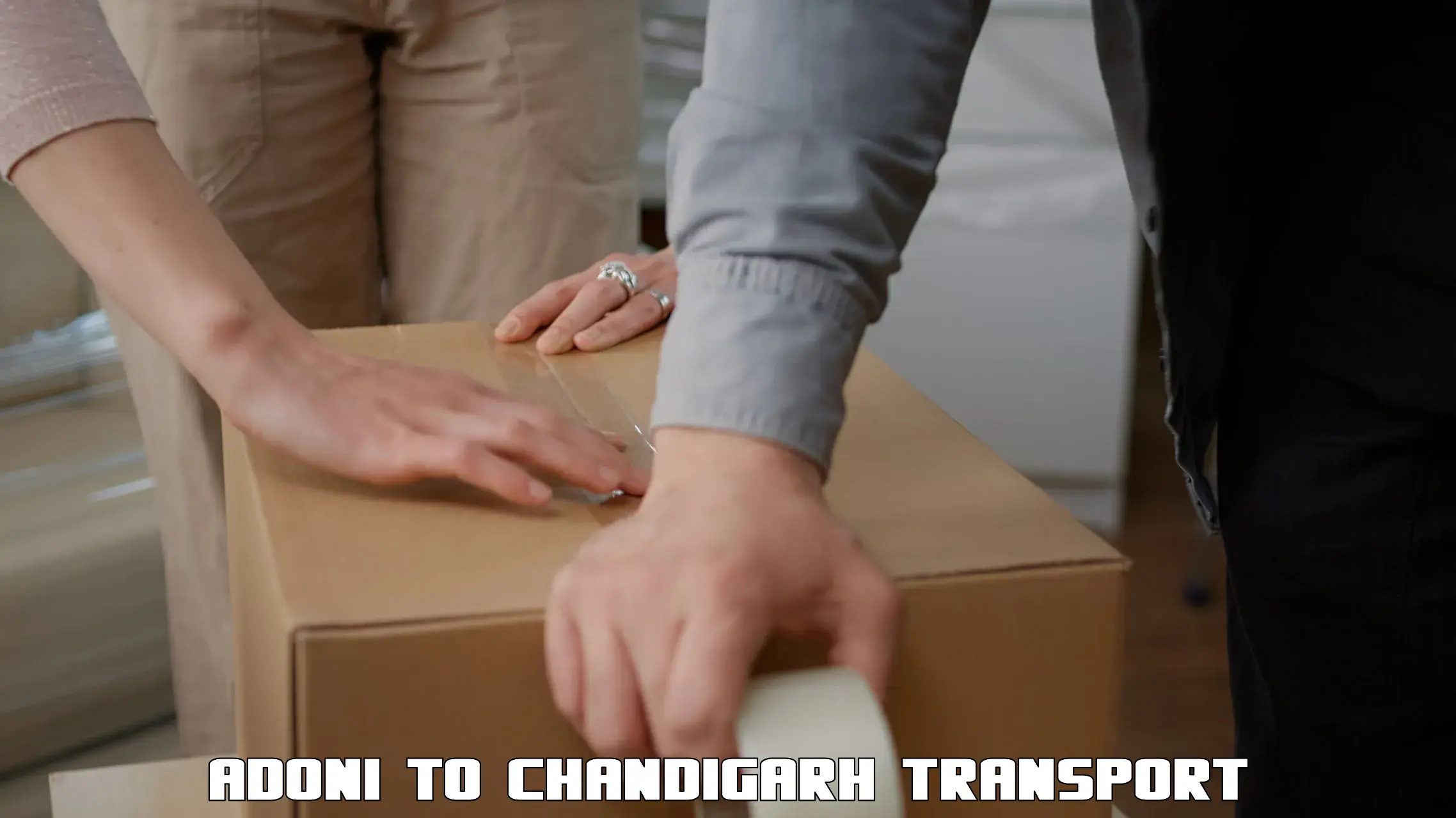 Vehicle courier services Adoni to Chandigarh