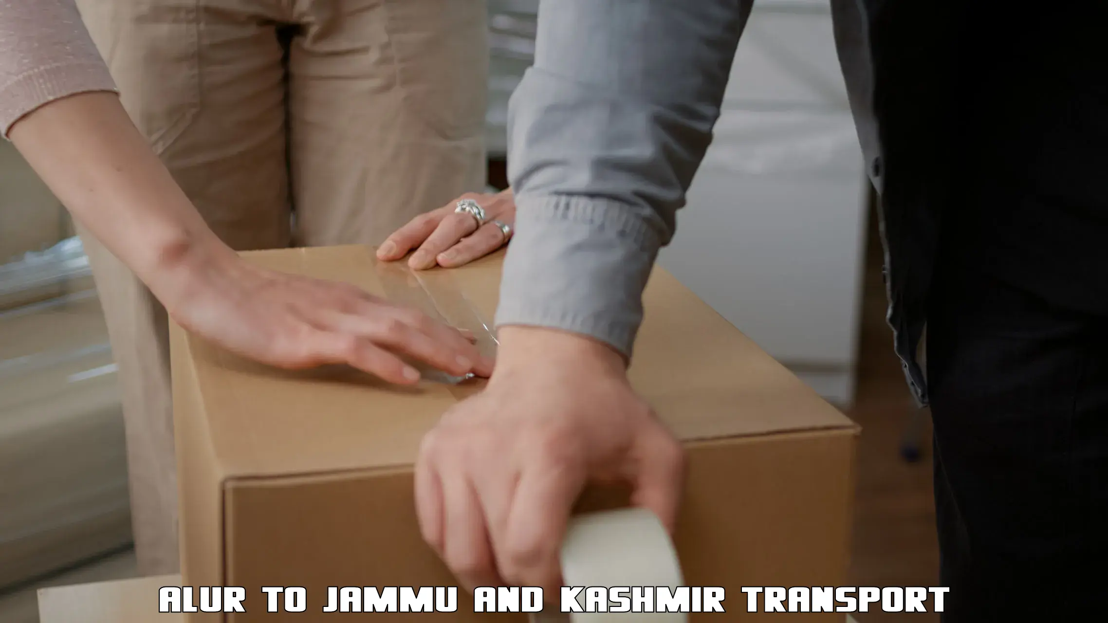 Container transportation services Alur to University of Kashmir Srinagar