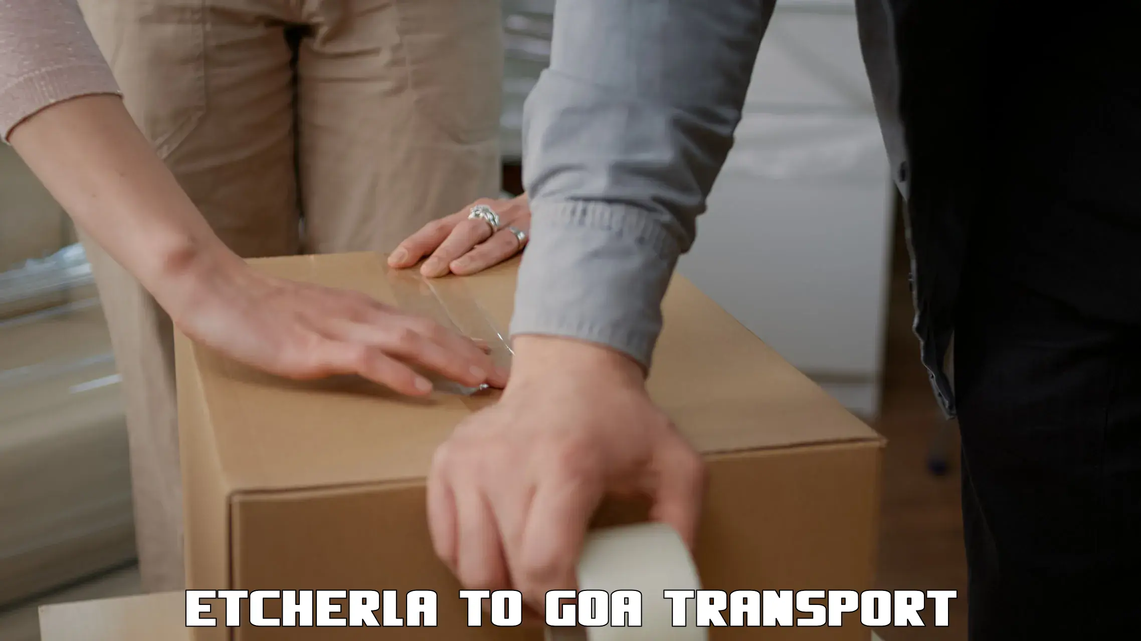 Road transport online services in Etcherla to Goa