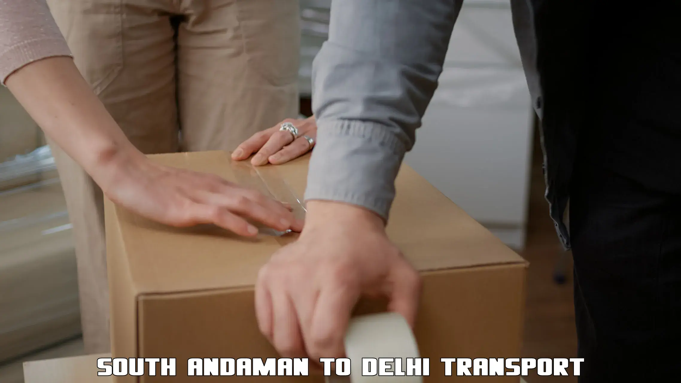 Door to door transport services in South Andaman to Naraina Industrial Estate