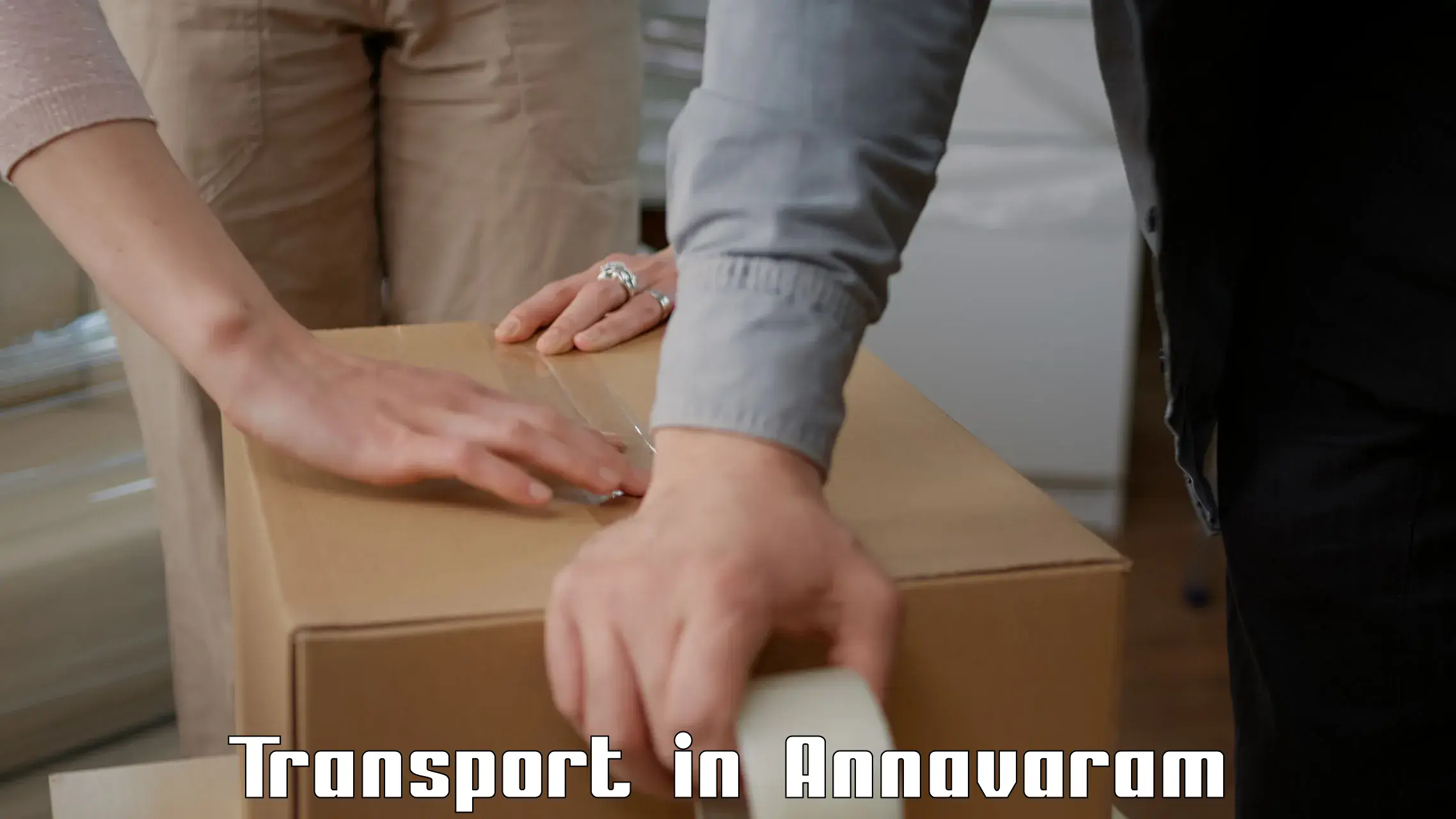 Package delivery services in Annavaram