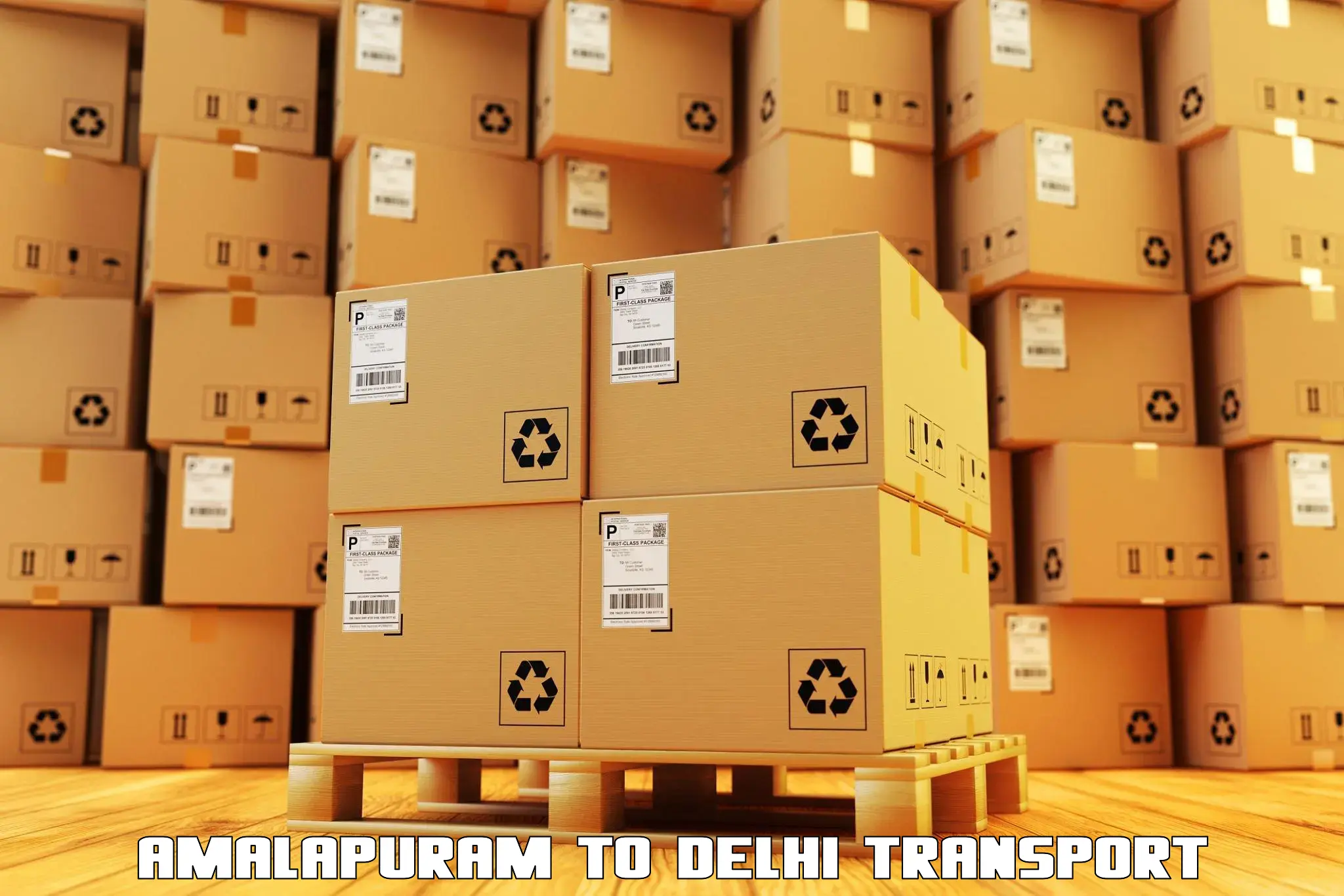 Container transport service in Amalapuram to University of Delhi