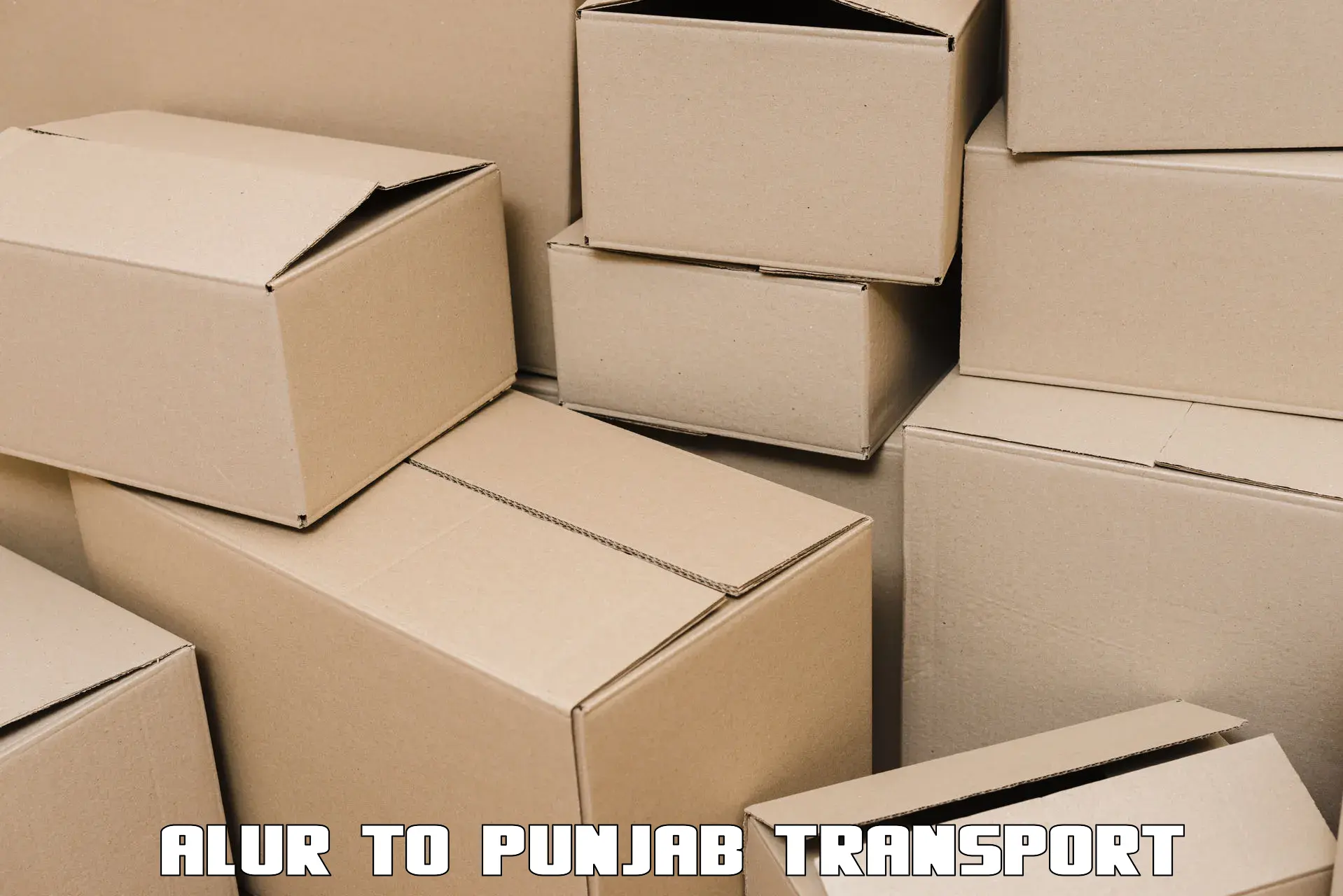 Interstate transport services Alur to Jalandhar