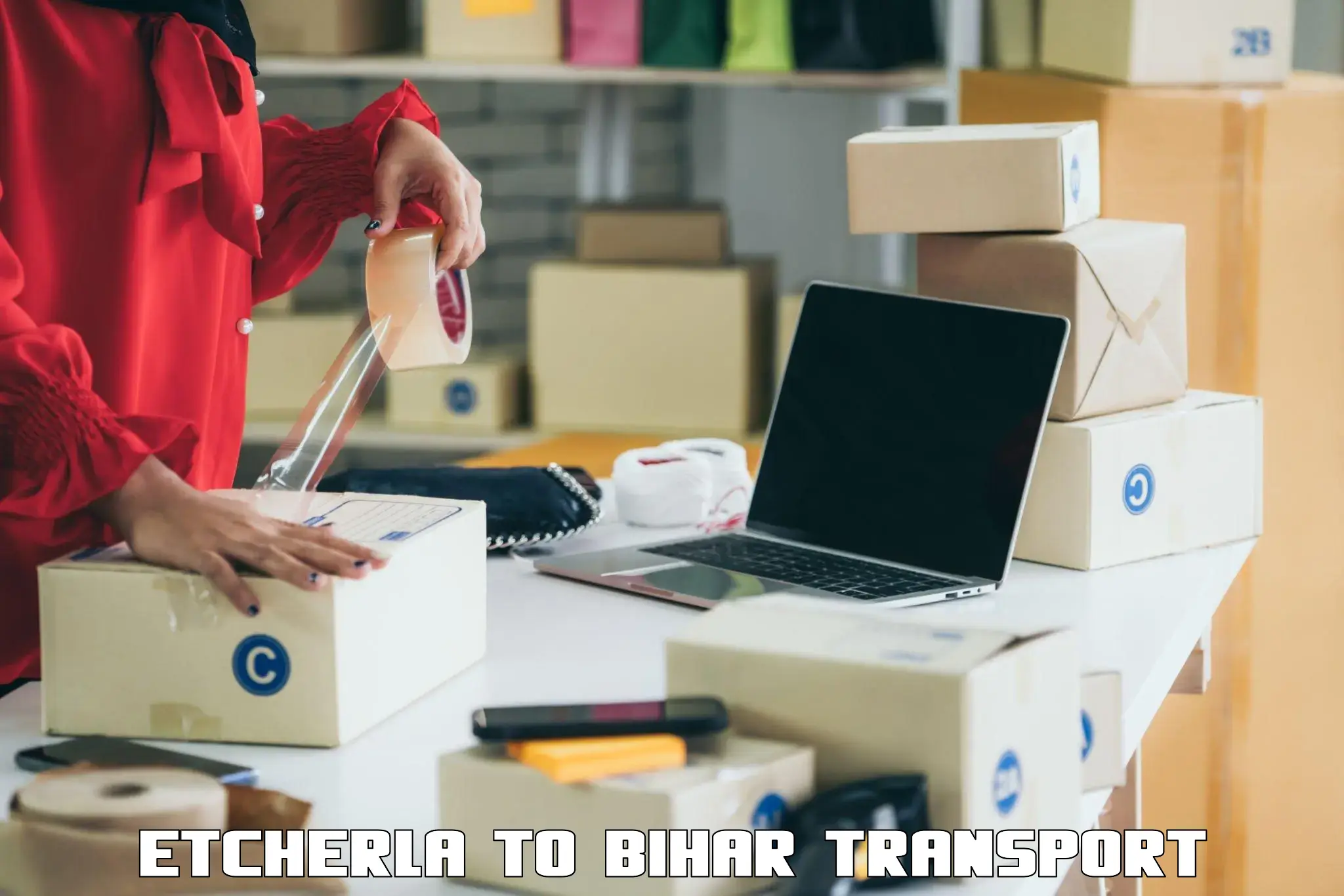 Vehicle courier services Etcherla to Saraiya