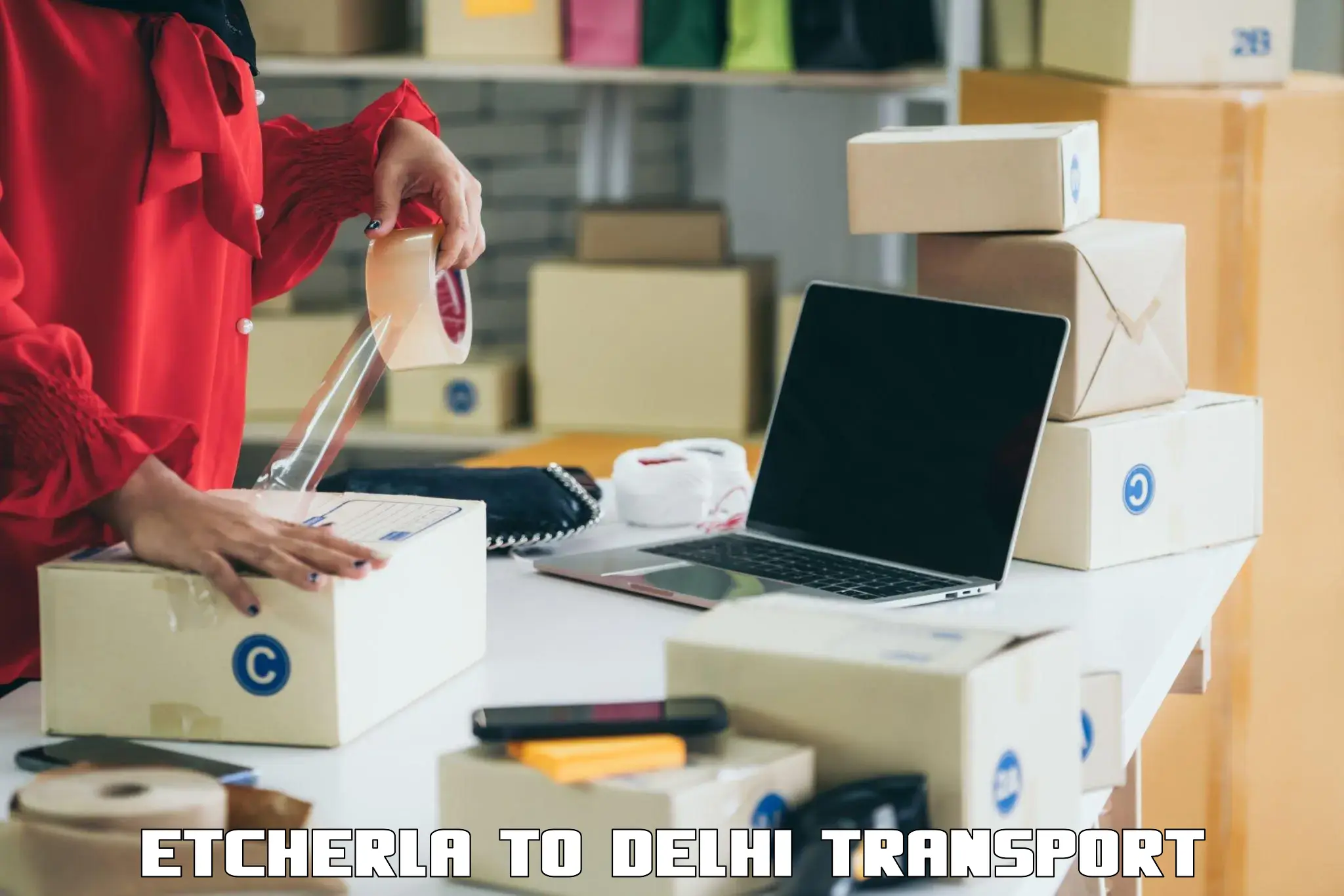 Express transport services Etcherla to University of Delhi