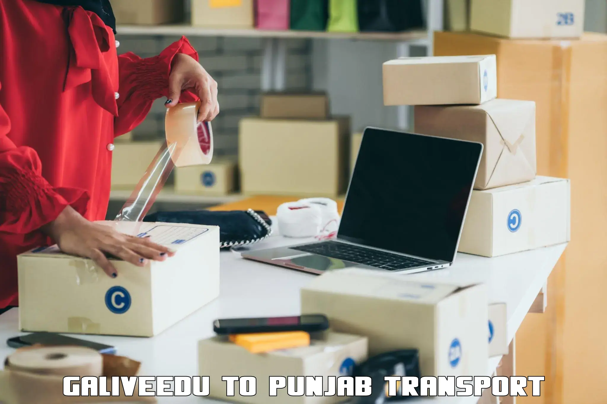 Parcel transport services Galiveedu to Thapar Institute of Engineering and Technology Patiala
