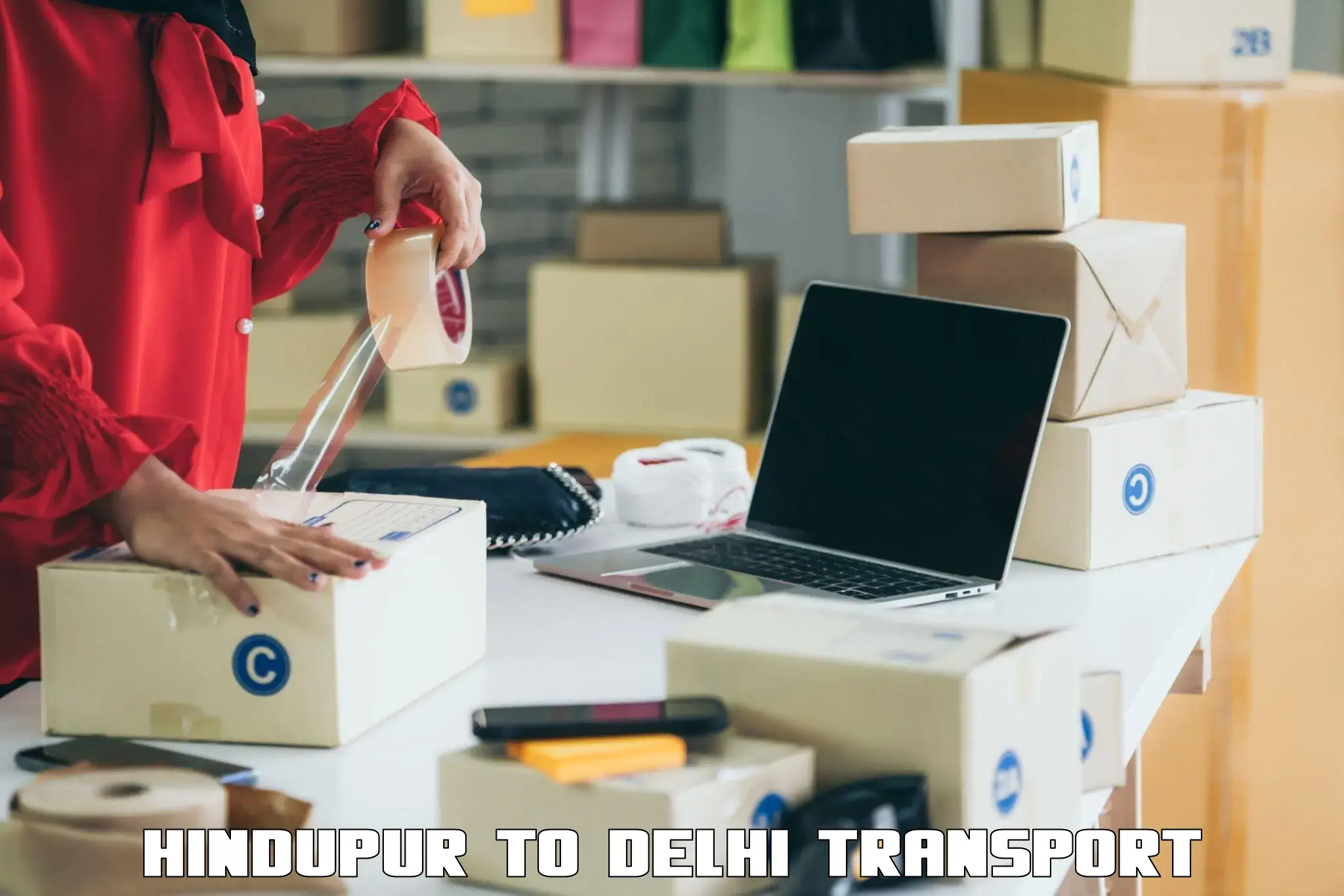 Pick up transport service Hindupur to East Delhi