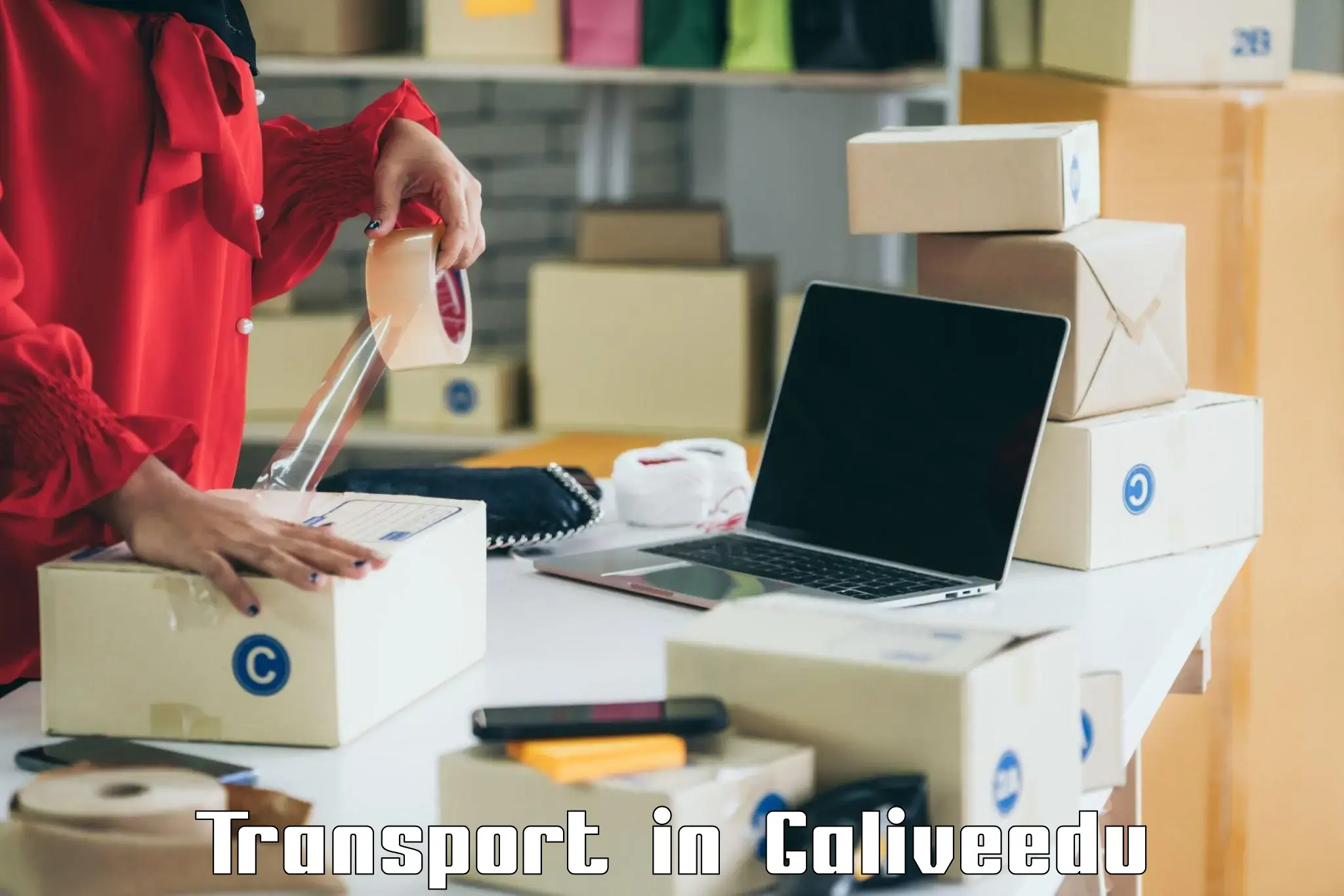 Logistics transportation services in Galiveedu