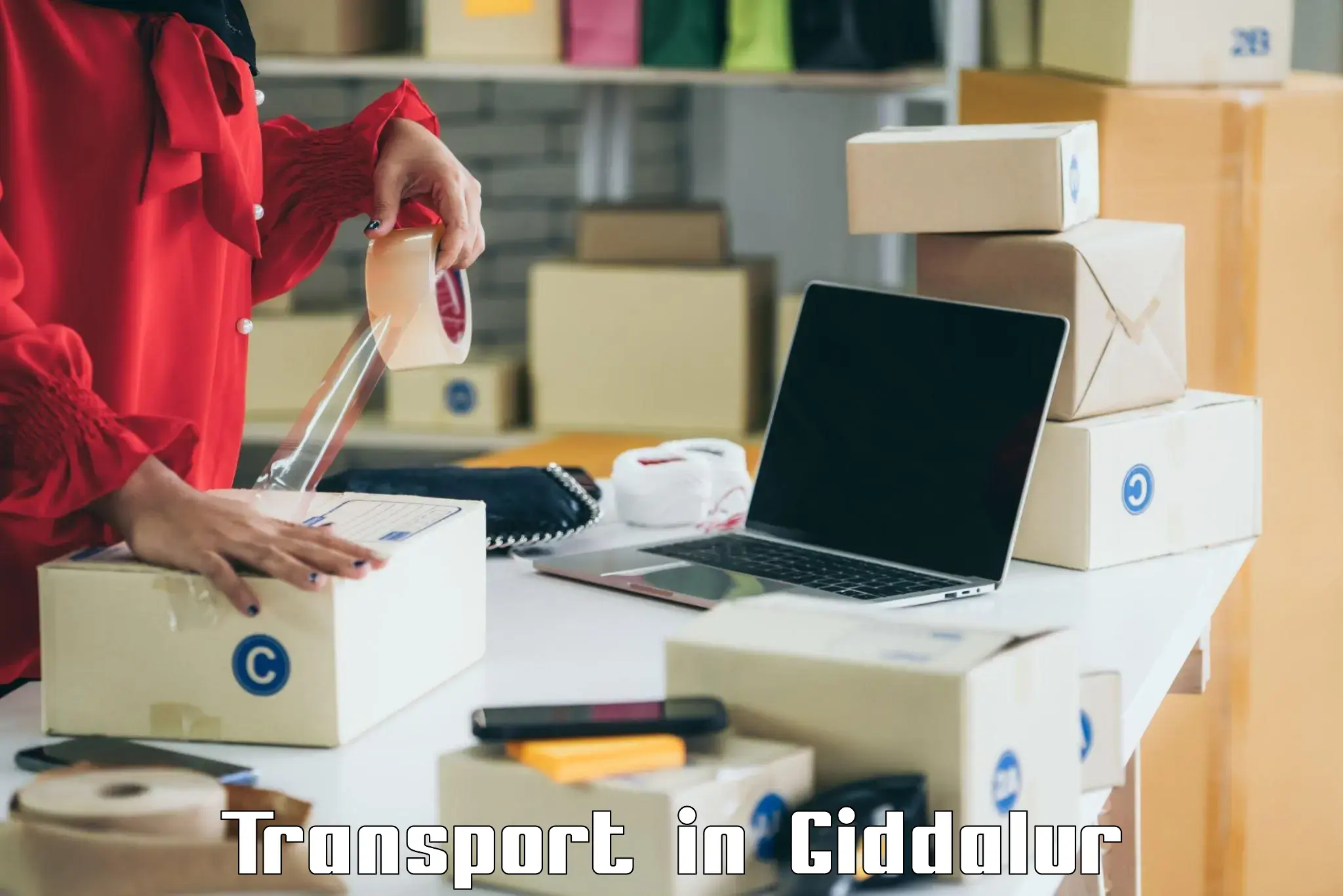 Air freight transport services in Giddalur