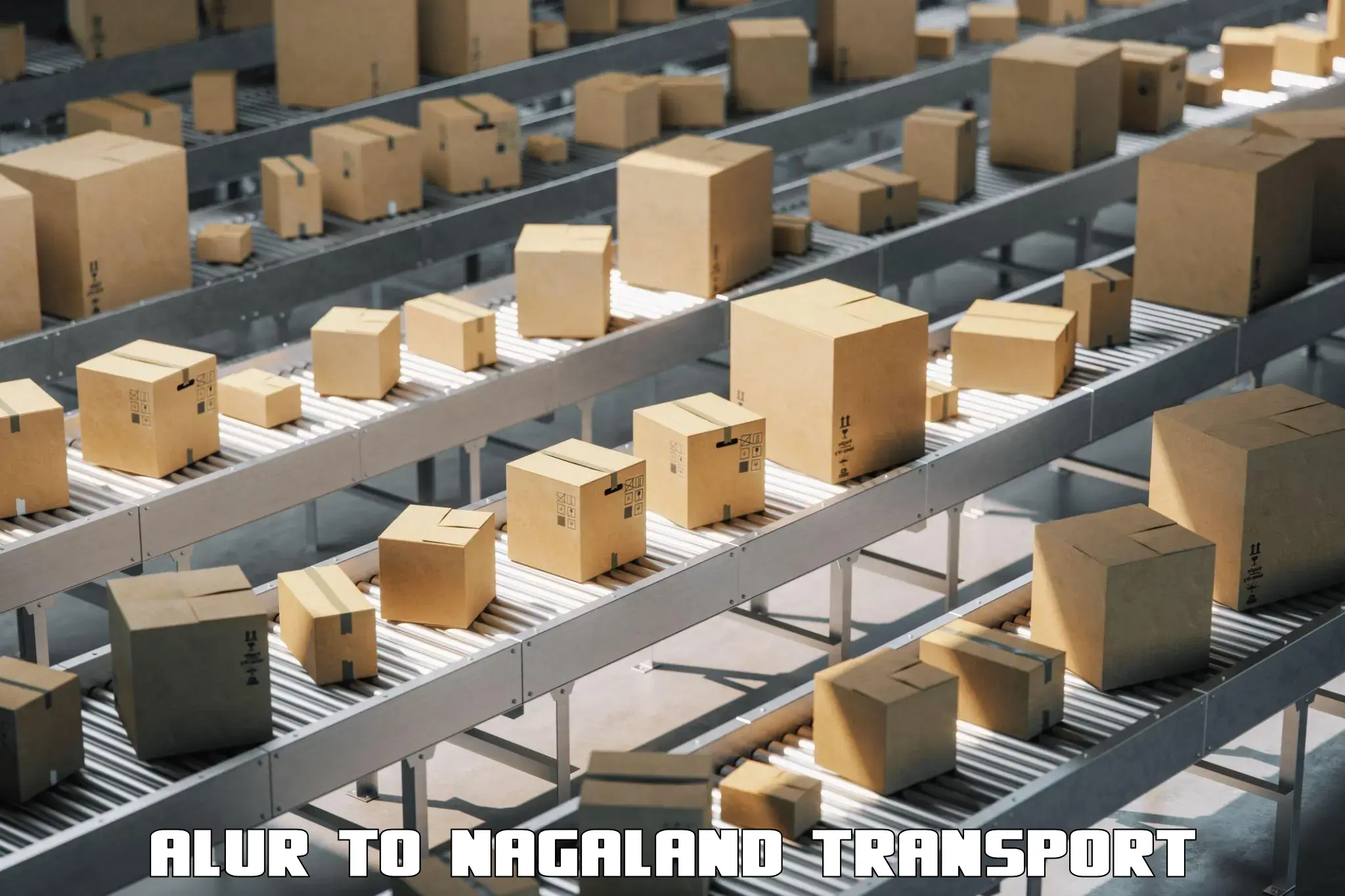 International cargo transportation services Alur to Nagaland