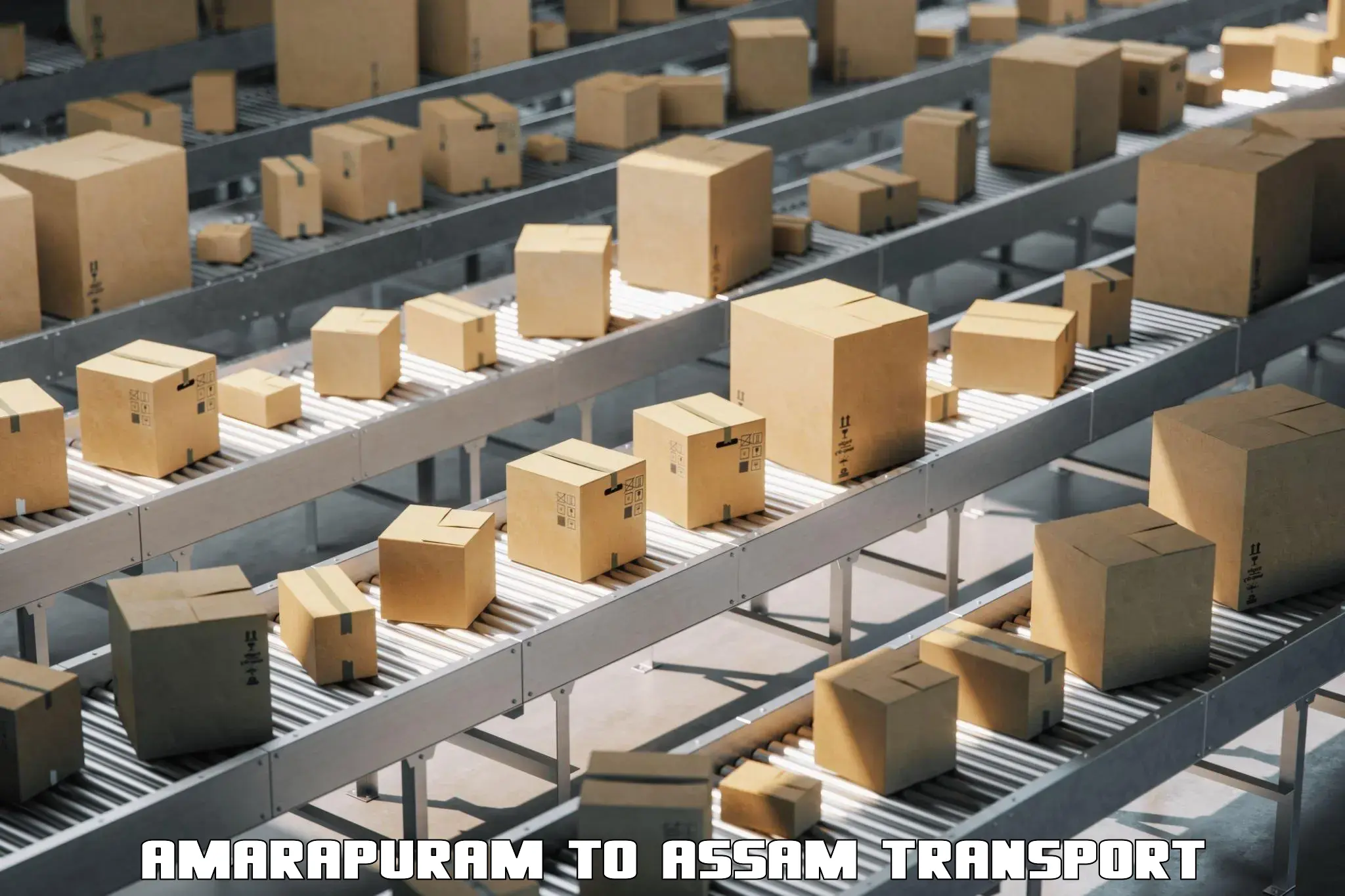 Container transport service Amarapuram to Demow