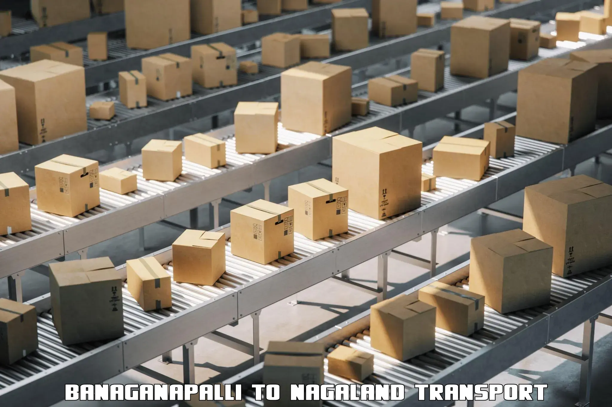 Pick up transport service Banaganapalli to Longleng