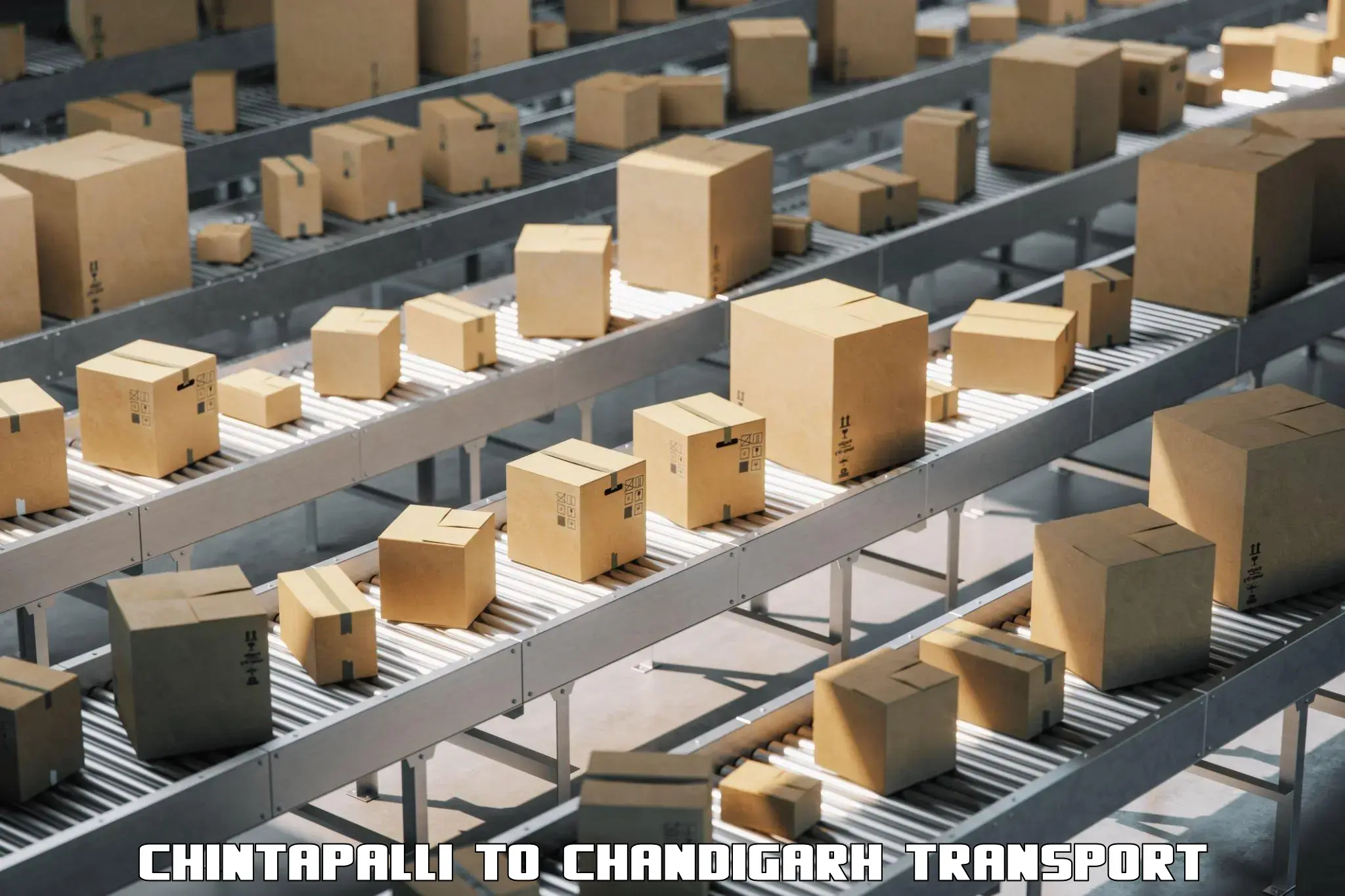 Container transport service Chintapalli to Chandigarh