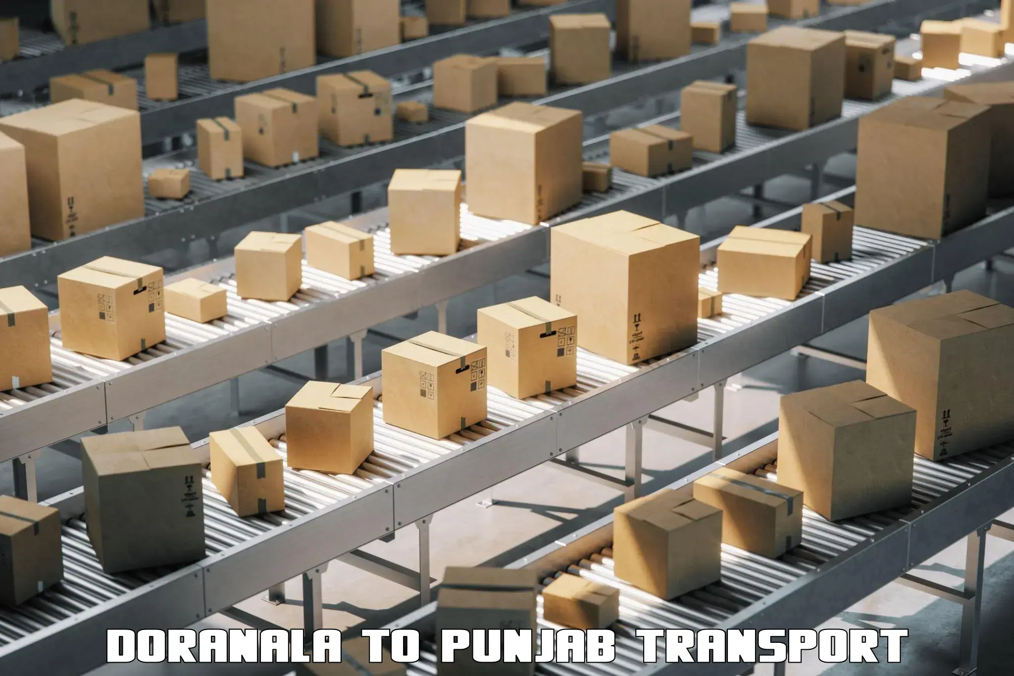 Truck transport companies in India Doranala to Kapurthala