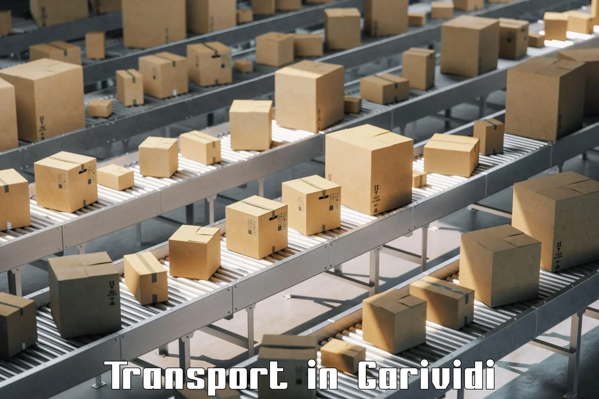 Luggage transport services in Garividi