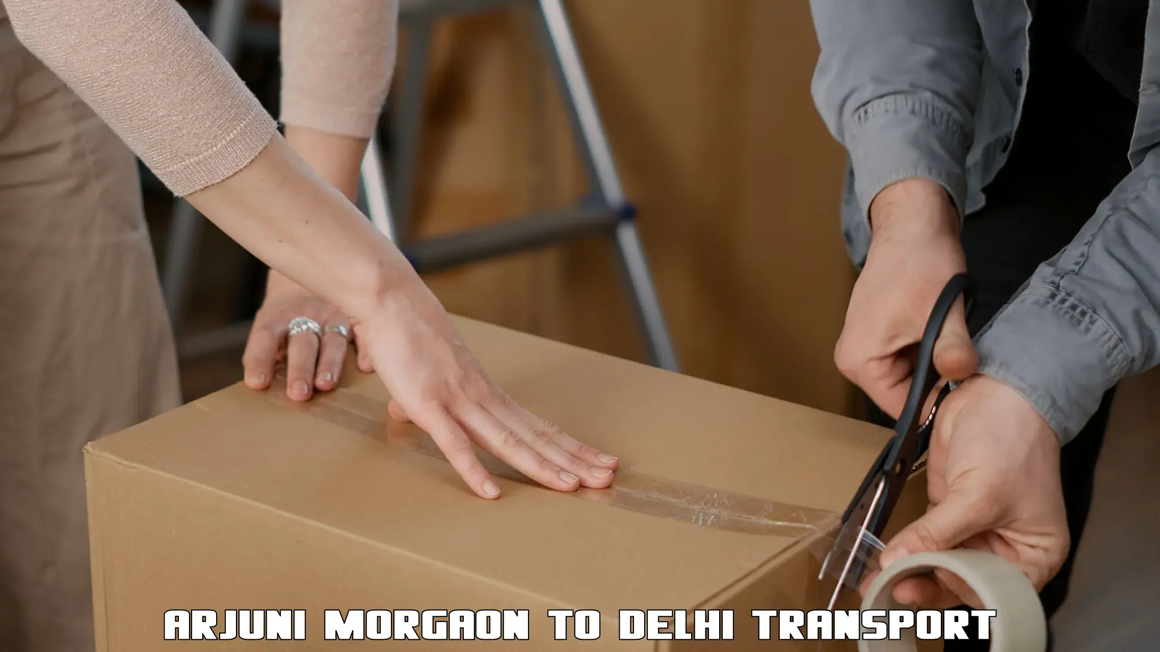 Interstate goods transport Arjuni Morgaon to Delhi