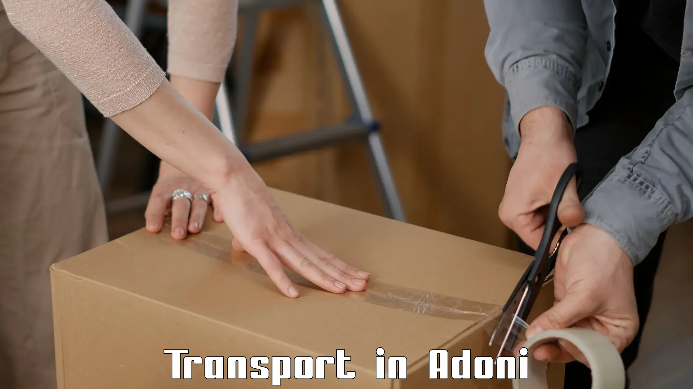 Package delivery services in Adoni
