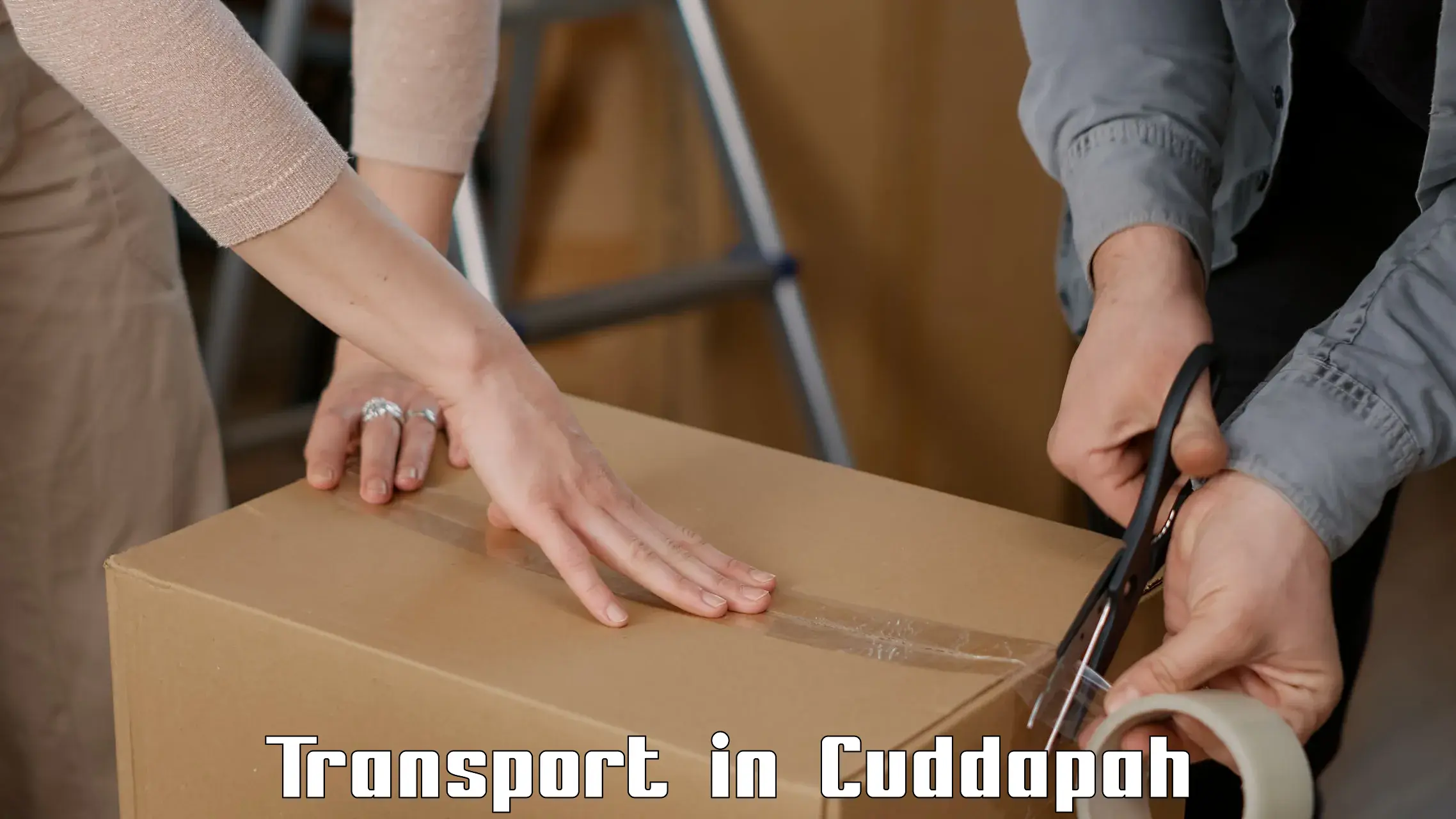 Furniture transport service in Cuddapah